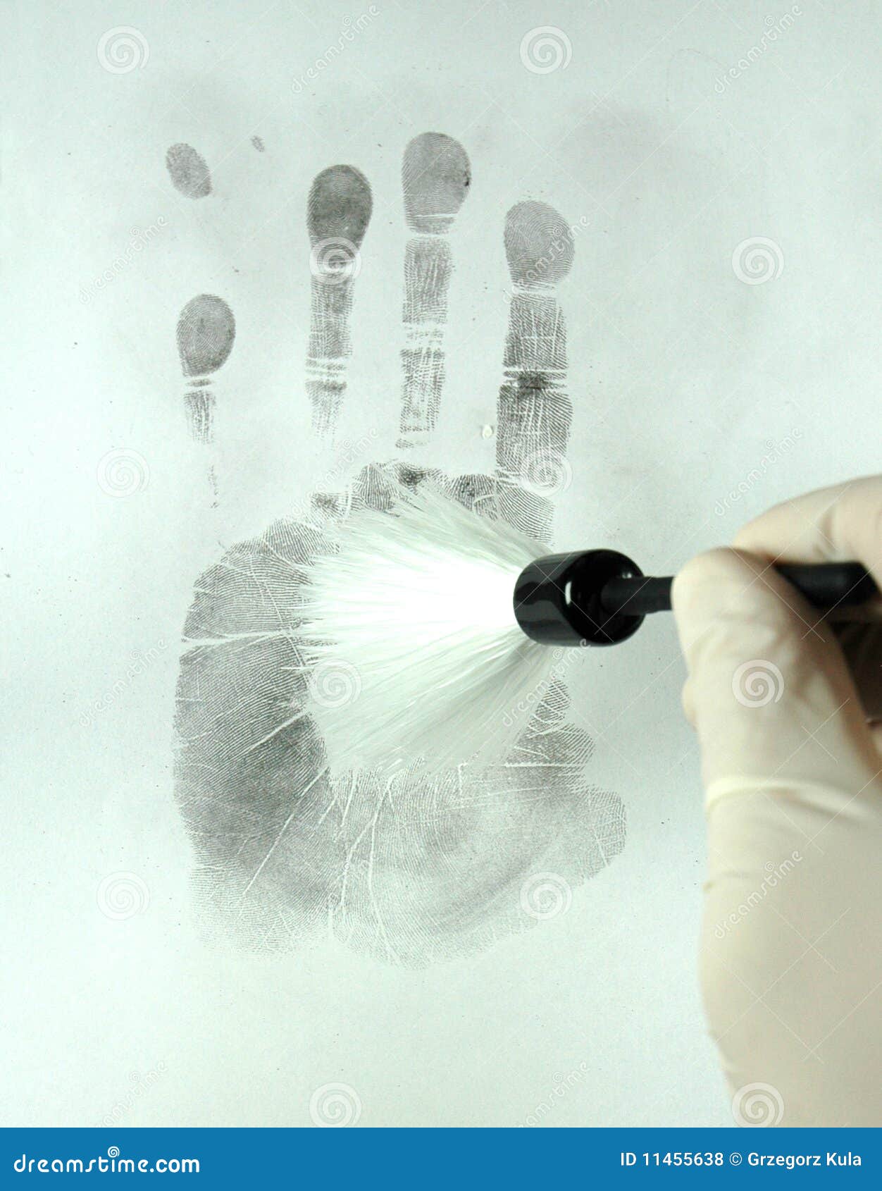 revealing the fingerprints