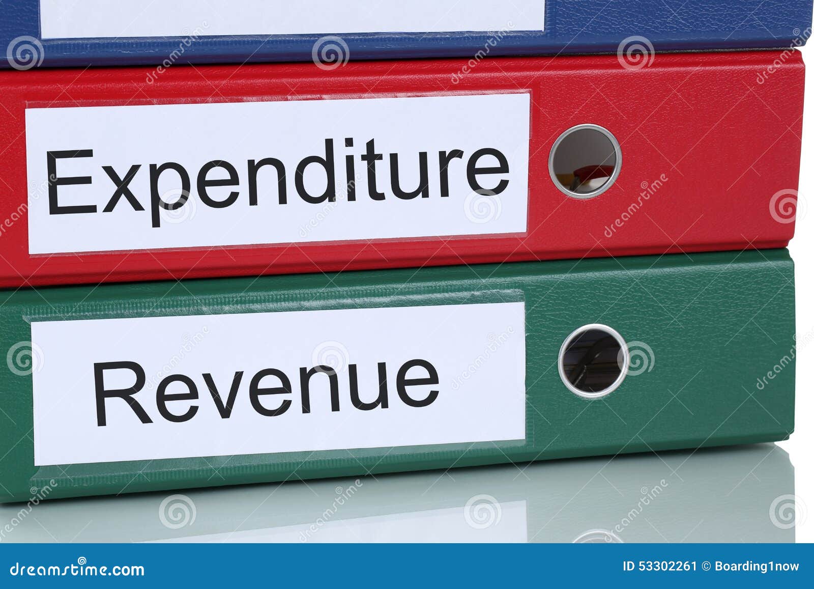 revenue and expenditure account finances in company business con