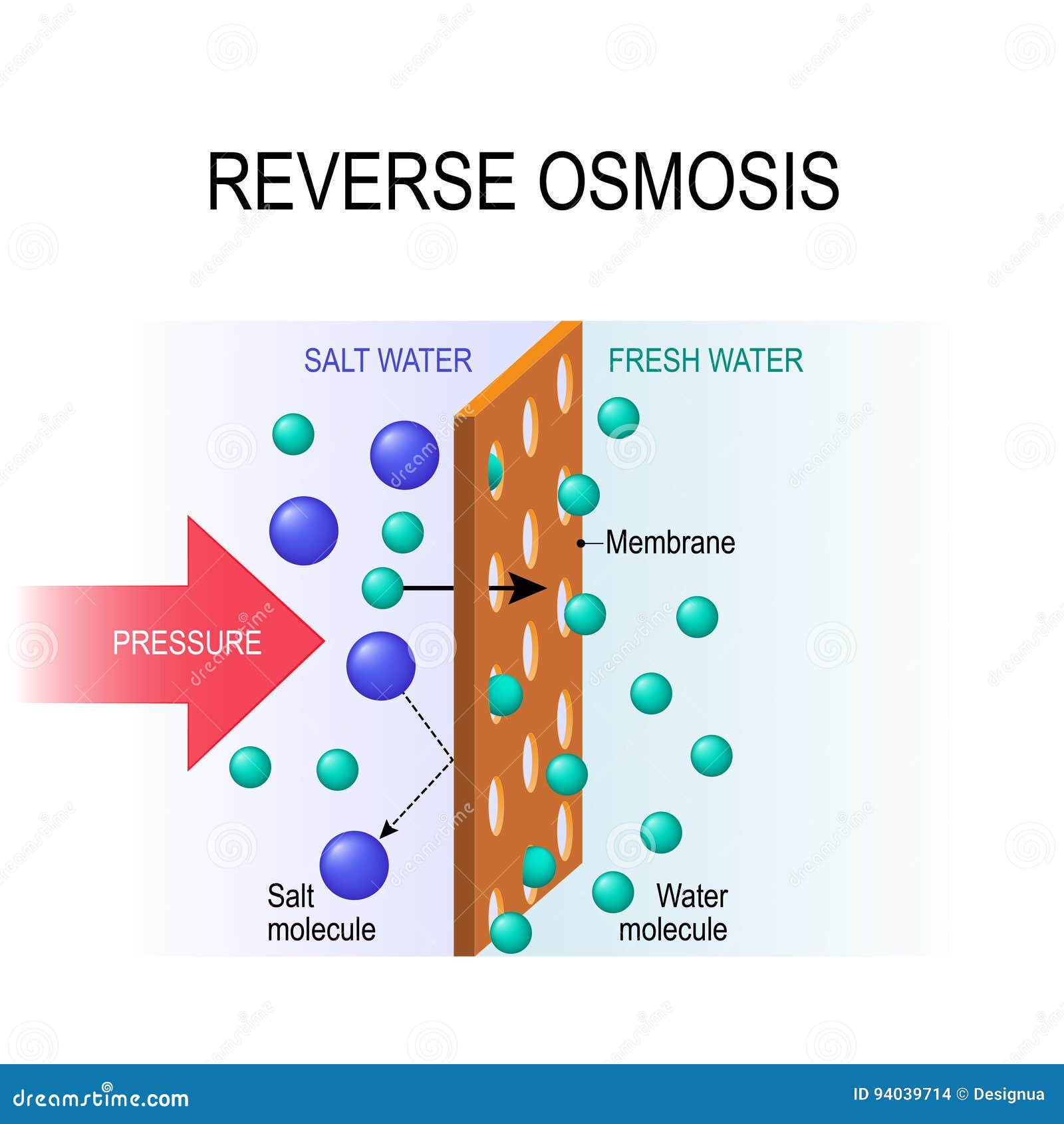 Reverse osmosis stock vector. Illustration of molecules ...