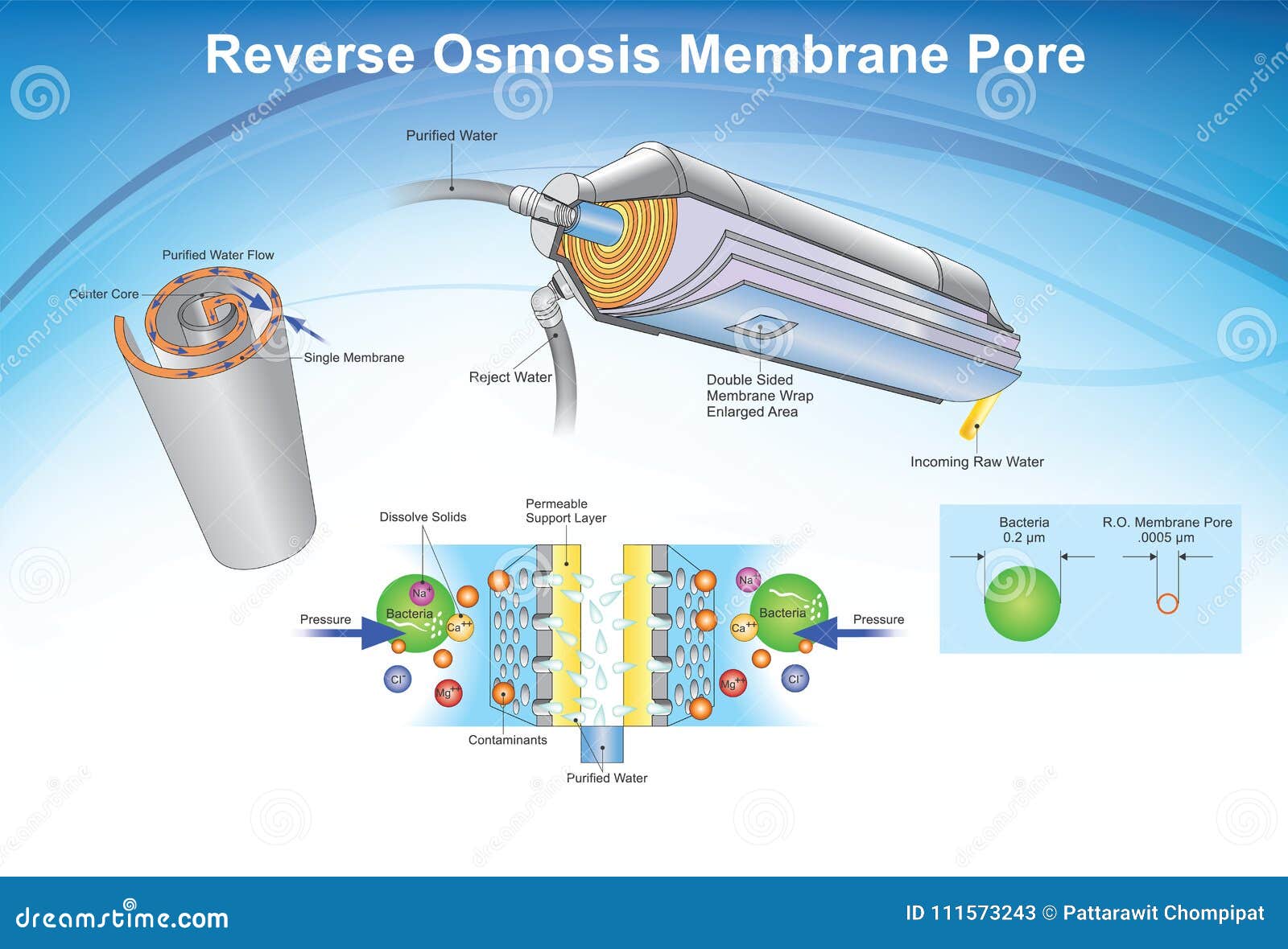 reverse osmosis membrane pore system. .