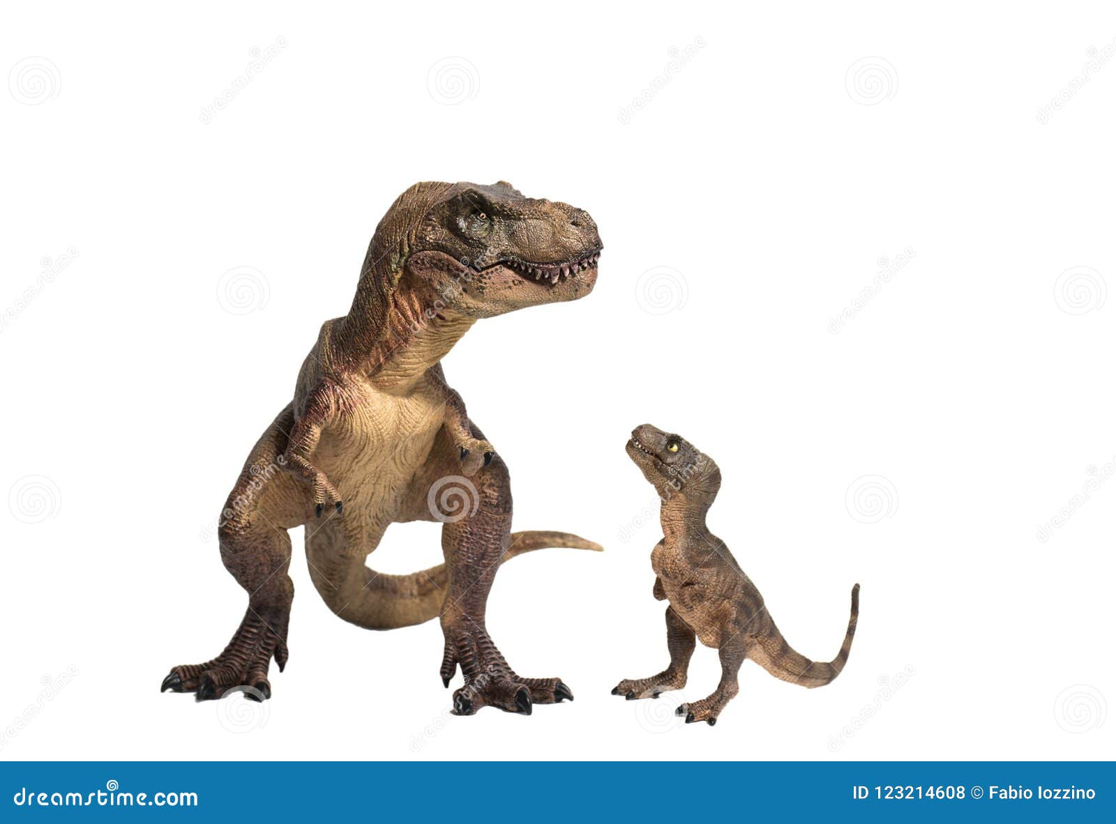 O T-Rex sabia nadar? Fósseis revelam como esses gigantes jurássicos agiam  na água | National Geographic | National Geographic, image size:1600x1182