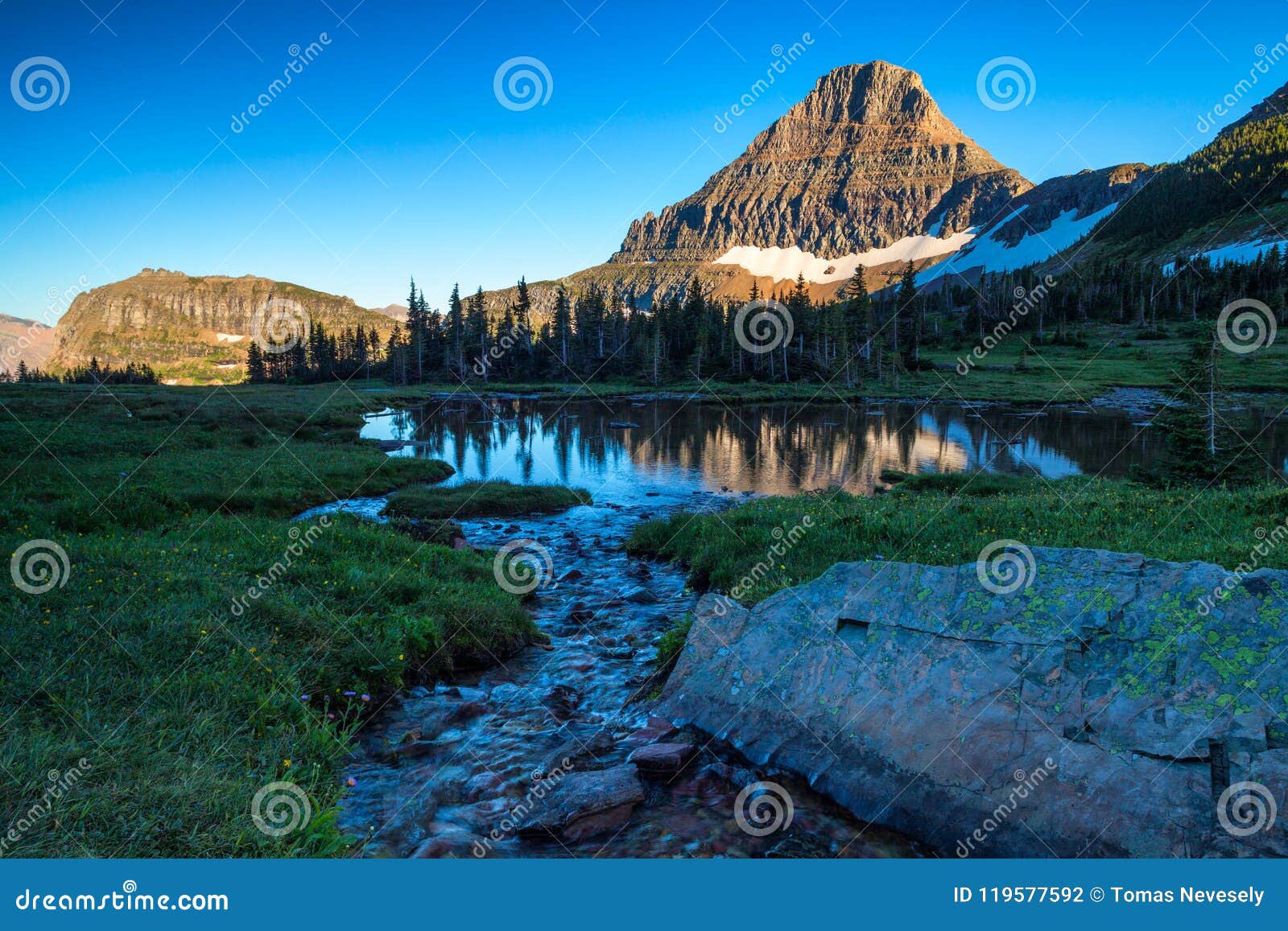 reynolds mountain in the logan pass area of glacier national park, montana