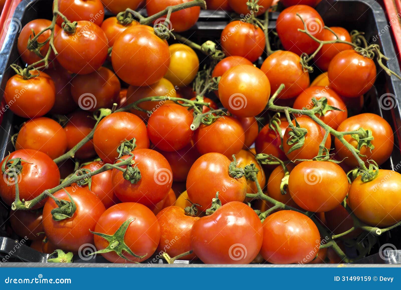 0rganic Tomatoes in a Market Stall Stock Image - Image of vegetarian ...