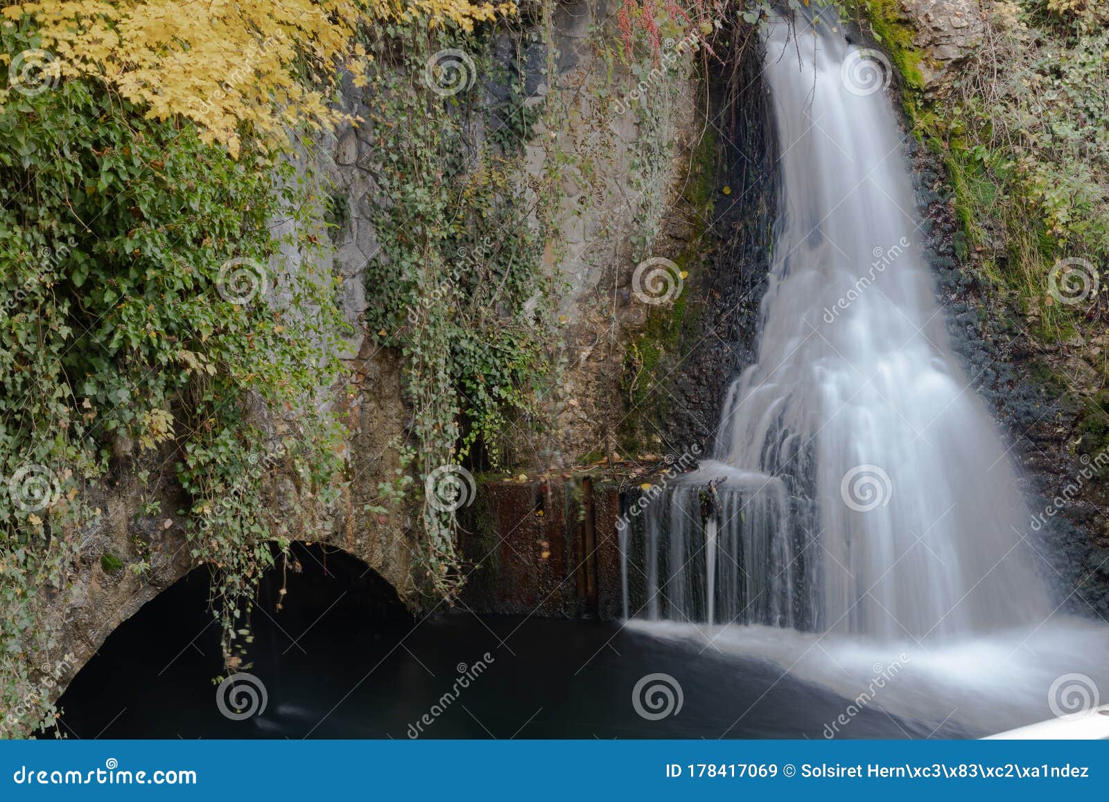 cascadas sedosas de rhine falls en suiza