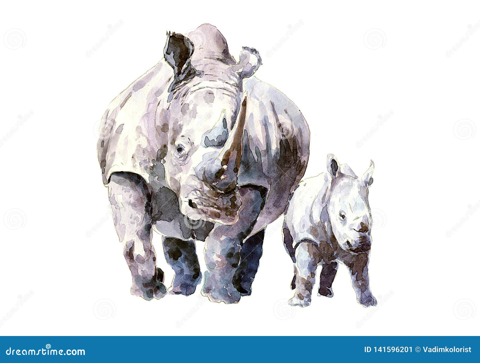 rhino environment free download