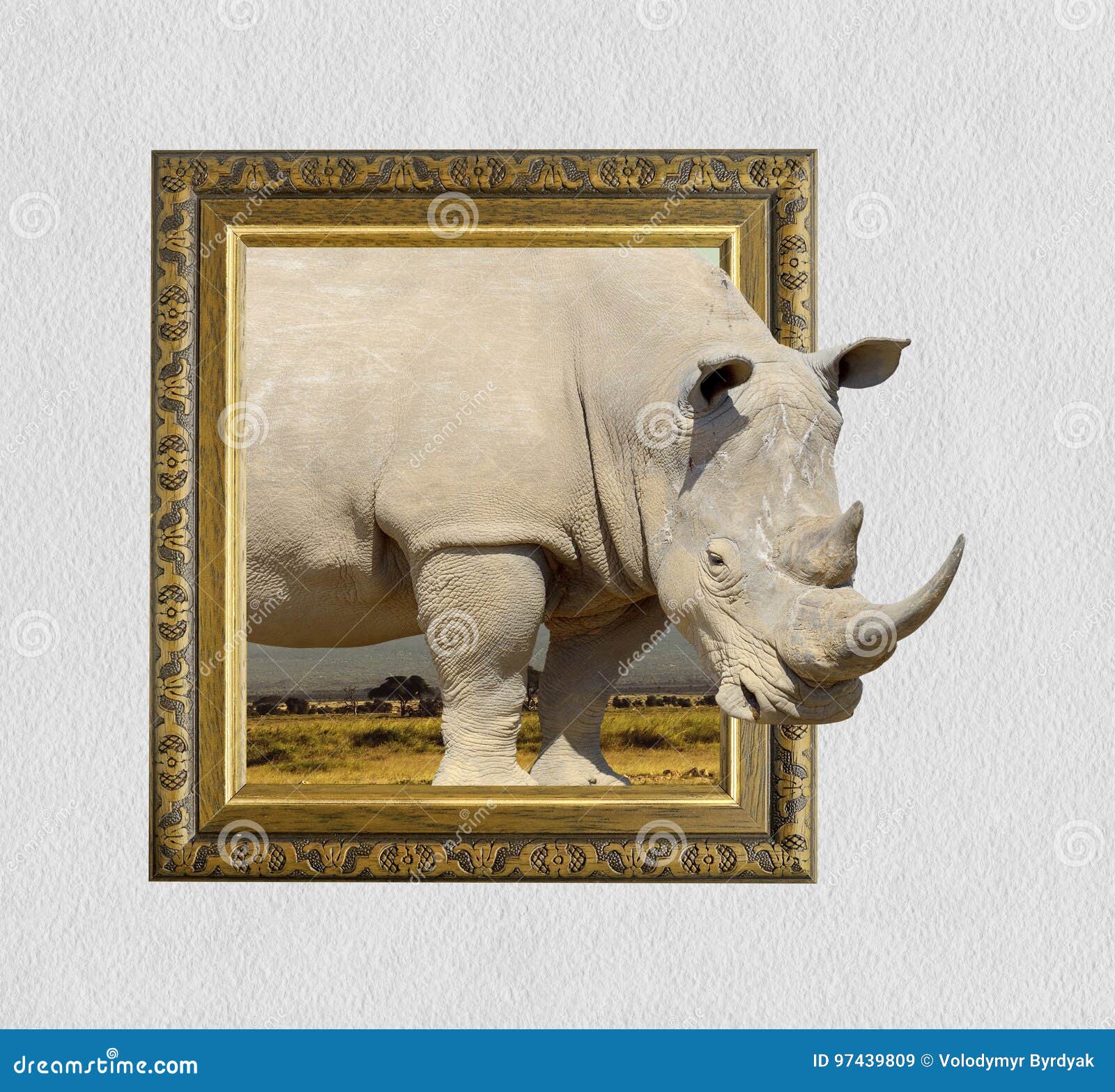Rhino in Frame with 3d Effect Stock Image Image of rhino, animal