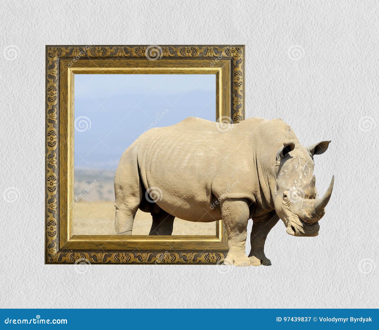 Rhino in Frame with 3d Effect Stock Image Image of background, banner
