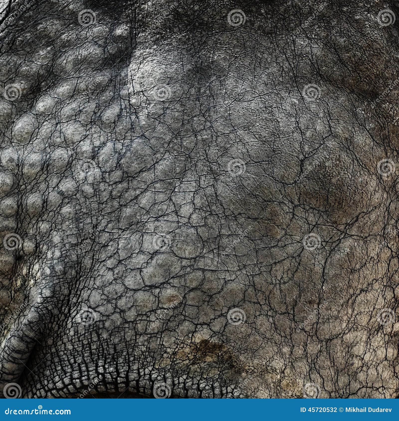 rhino texture download rhino texture download