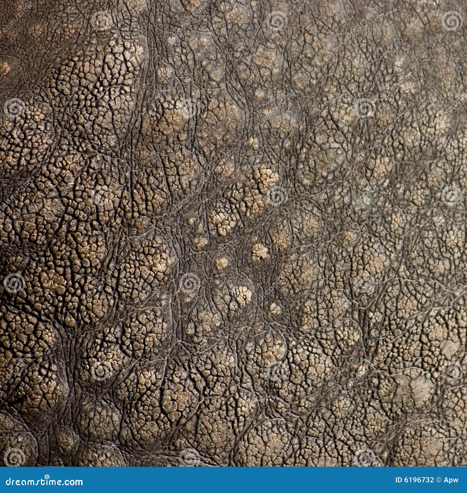 rhino material download free rhino material download free