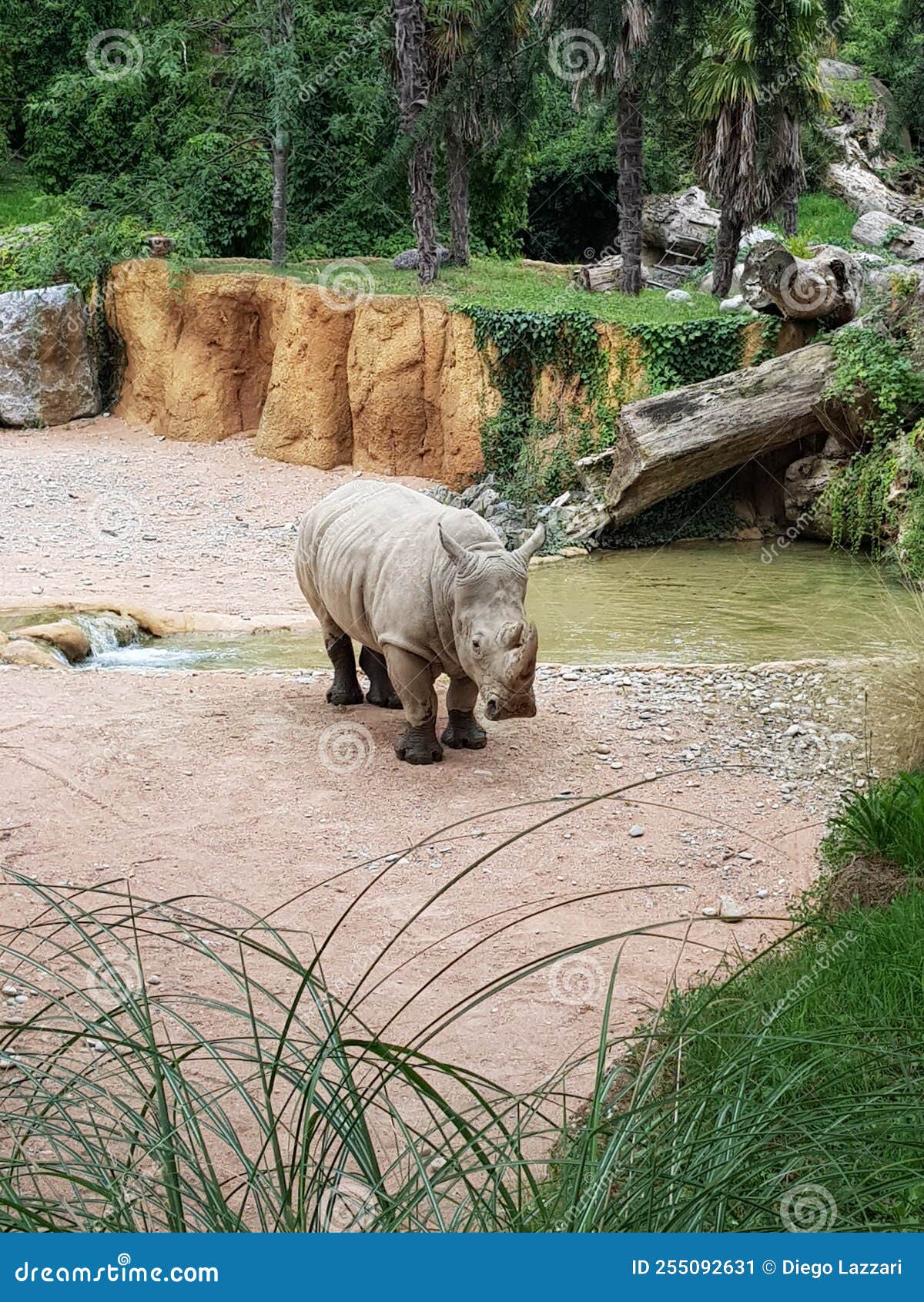 zoo safari park bergamo