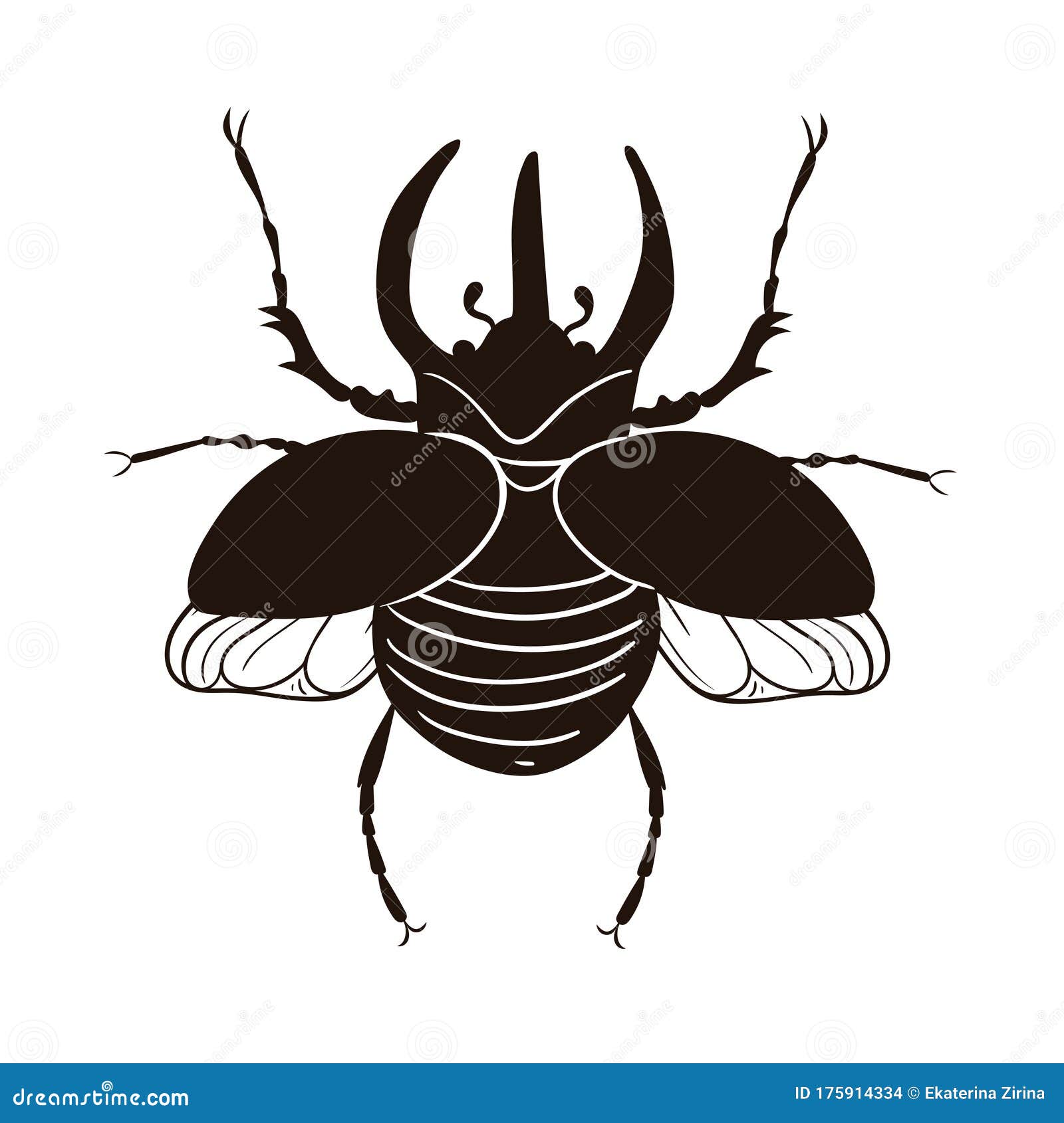 Rhinoceros Beetle Isolate on a White Background. Vector Graphics Stock ...