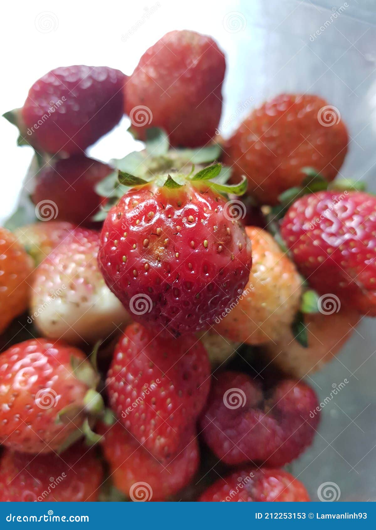 Soft Rot Disease Injured on Strawberry Fruit in Viet Nam. Stock Image ...