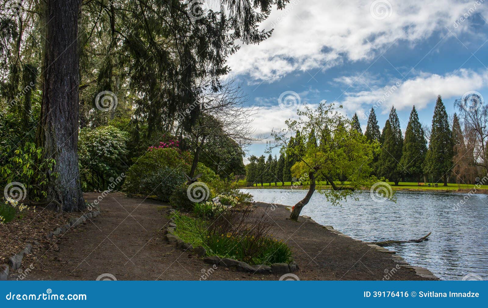Rhododendron Garden Portland Or Stock Photo Image Of Trees