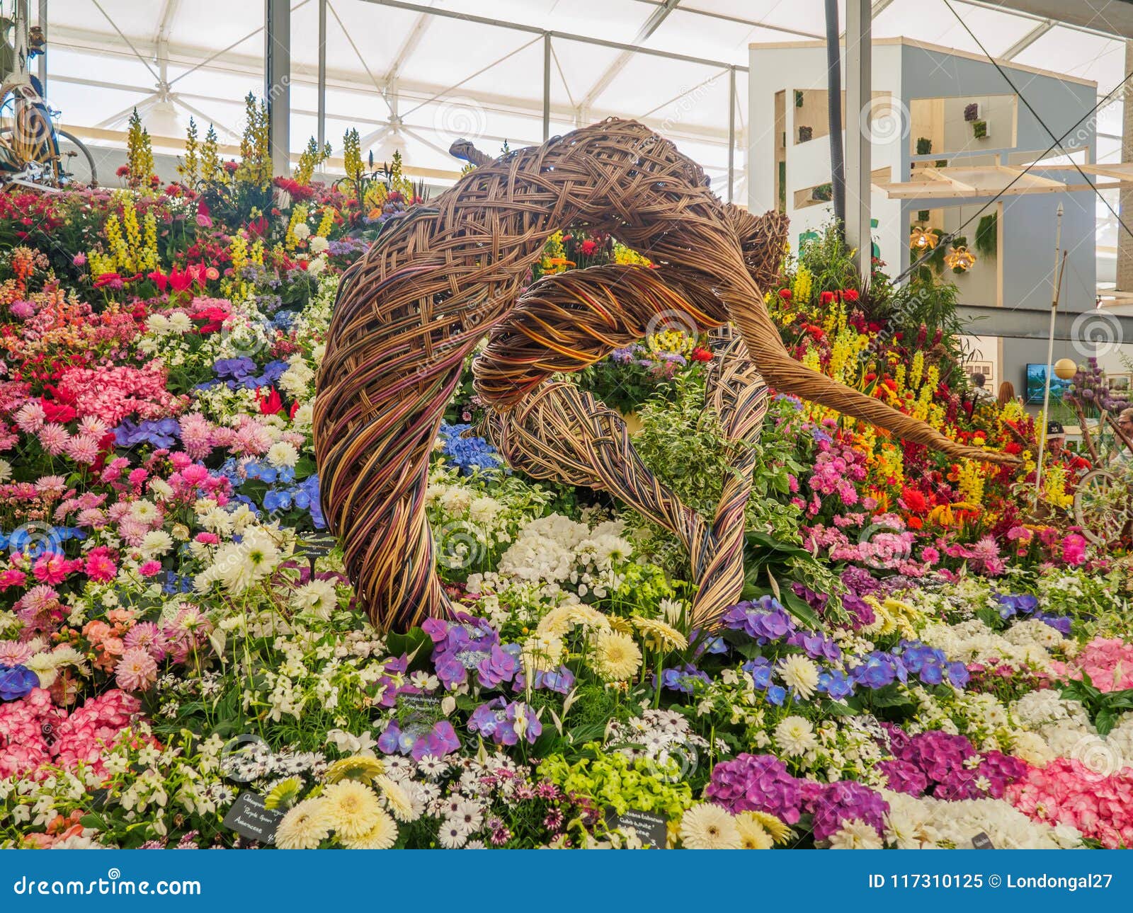 Rhs Chelsea Flower Show 2017 Various Flowers On The Gold Medal Winner Display In The Great Pavilion Editorial Image Image Of Flower Decorative 117310125