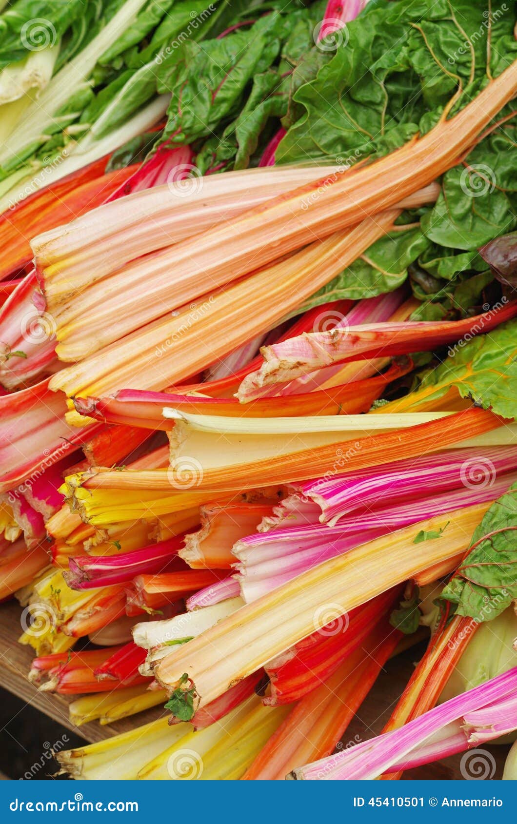 Rhubarb stock image. Image of pink, rhubarb, drink, sour 45410501