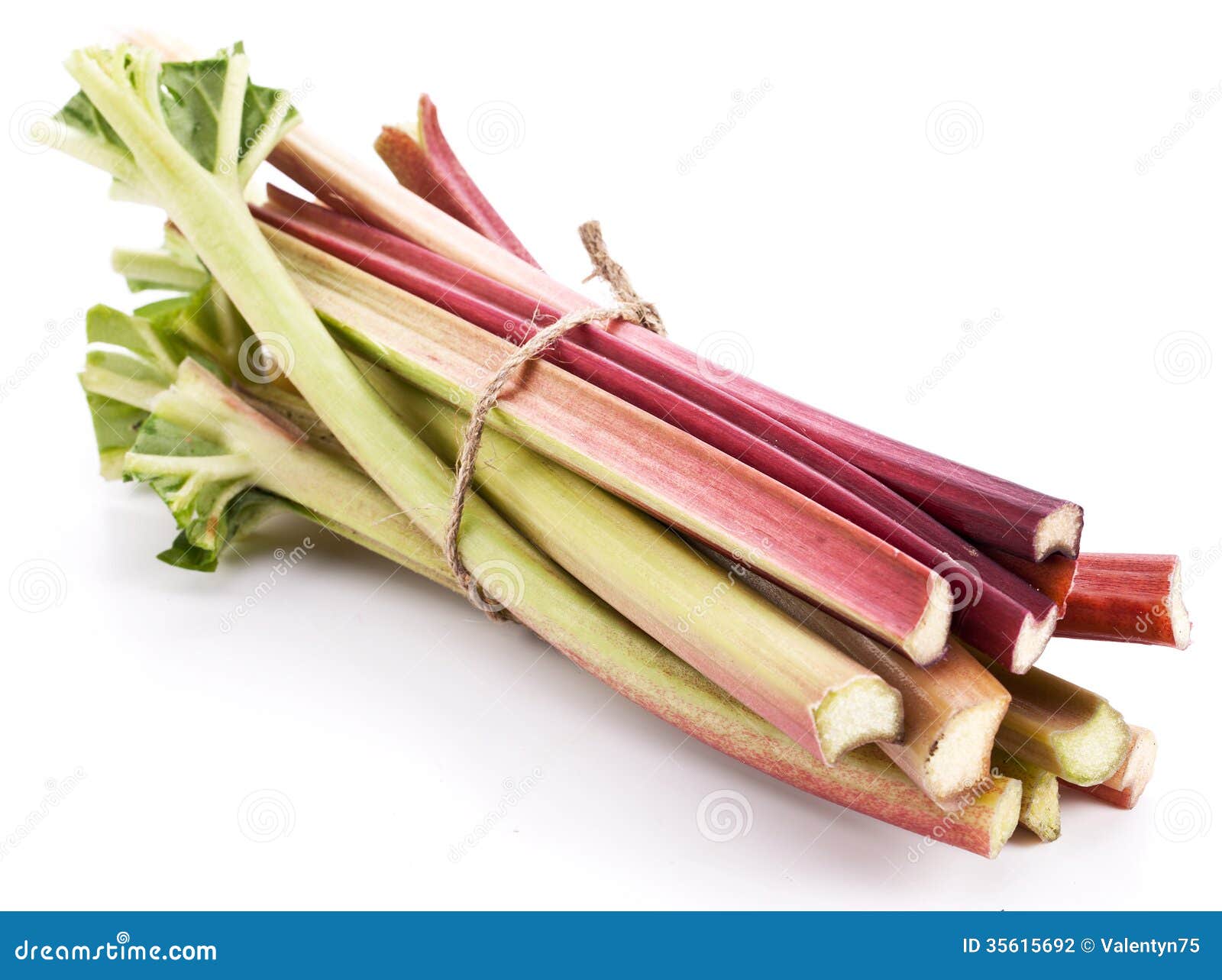 Rhubarb stalks. stock photo. Image of tart, stems, ripe 35615692