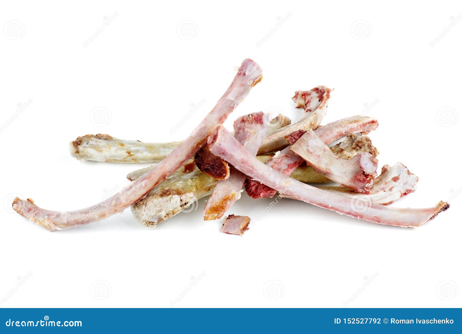 Rib Bones on a White Background Stock Photo Image of bones, eaten