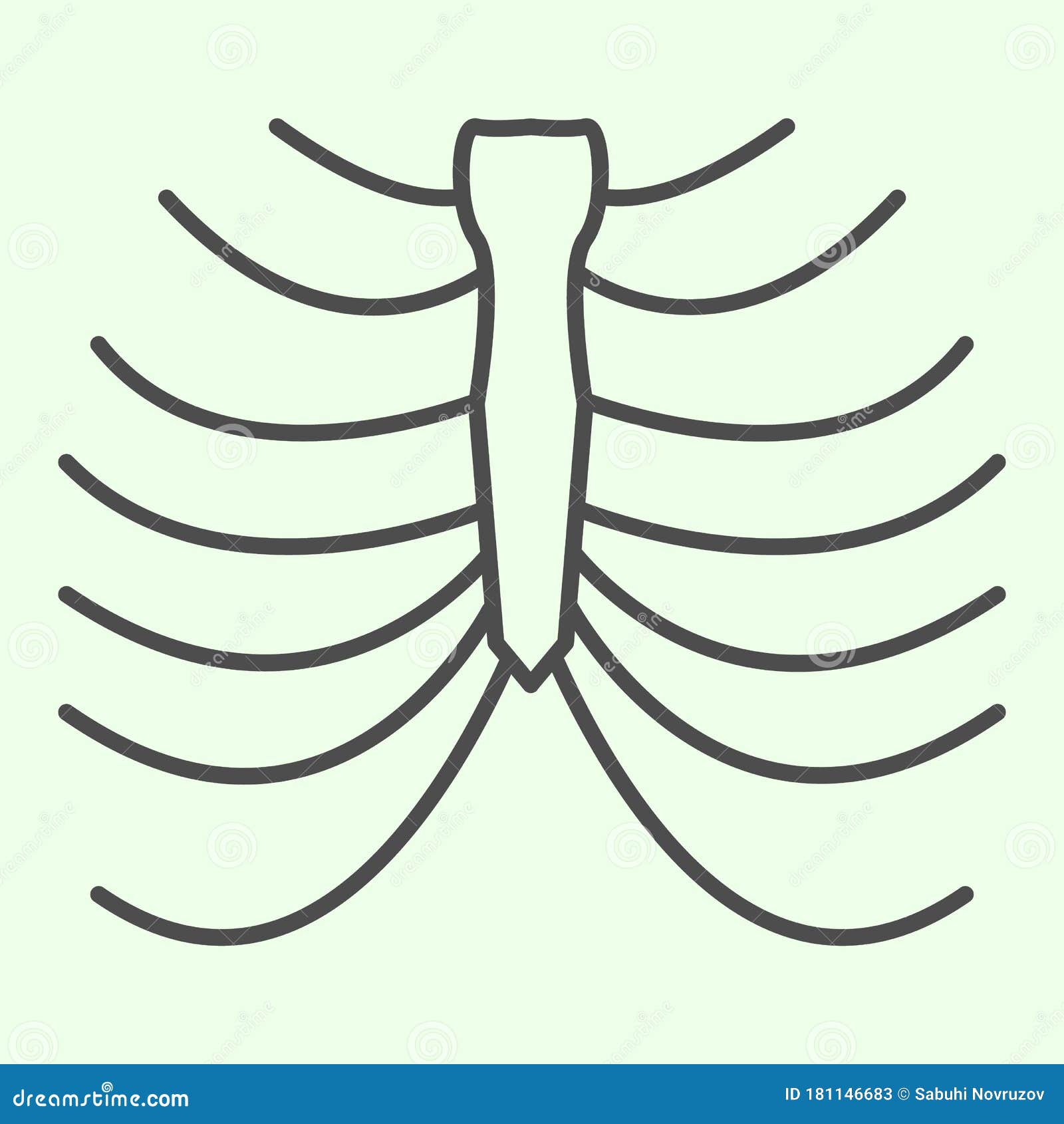 Rib Cage Skeleton Line Icon. Human Thorax X-ray Outline Style Pictogram