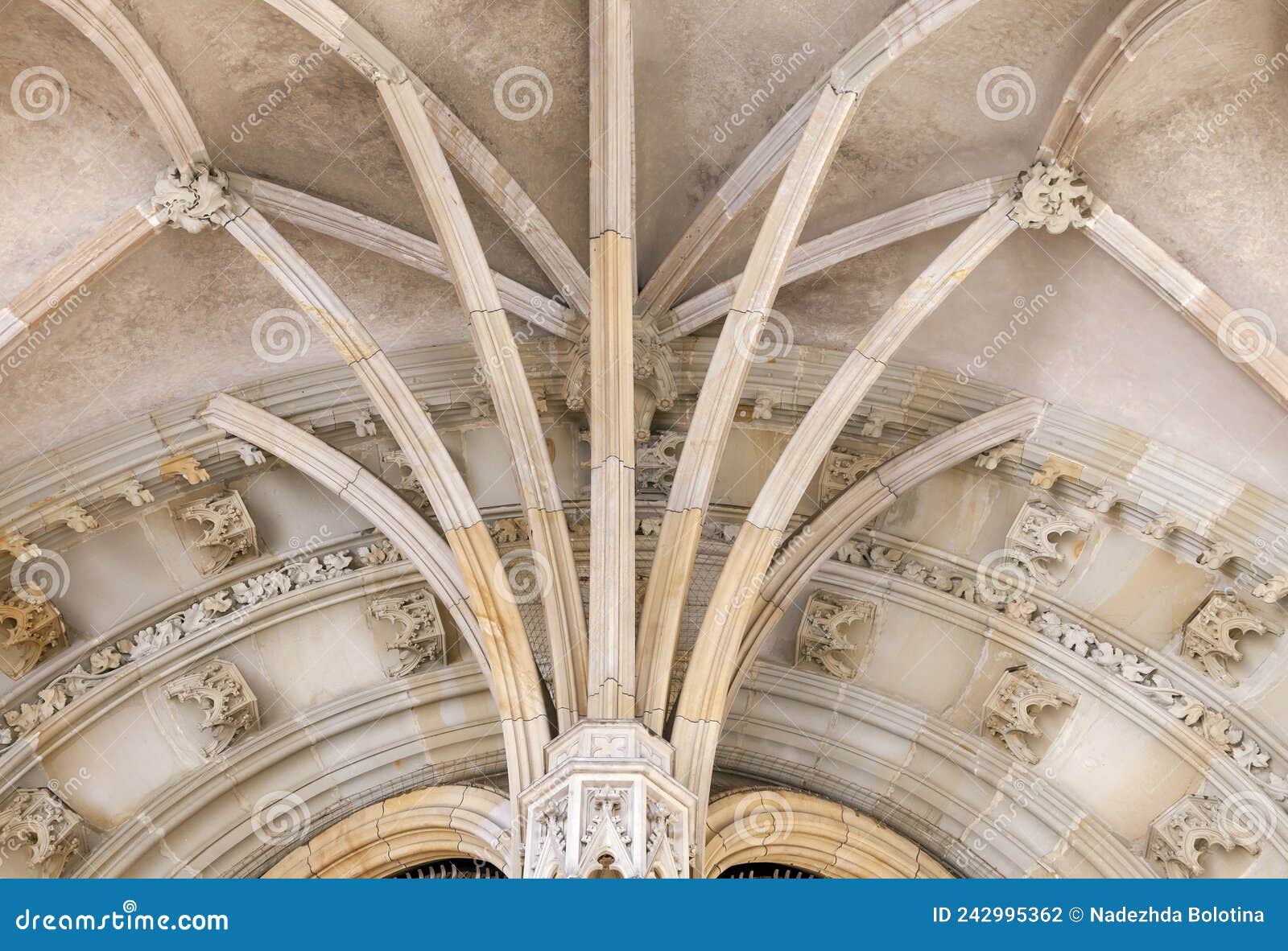 Rib Vault In Gothic Style Stock Photo Image Of Catholic 242995362 Rib Vault In Gothic Style Stock Photo Image Of Catholic 242995362