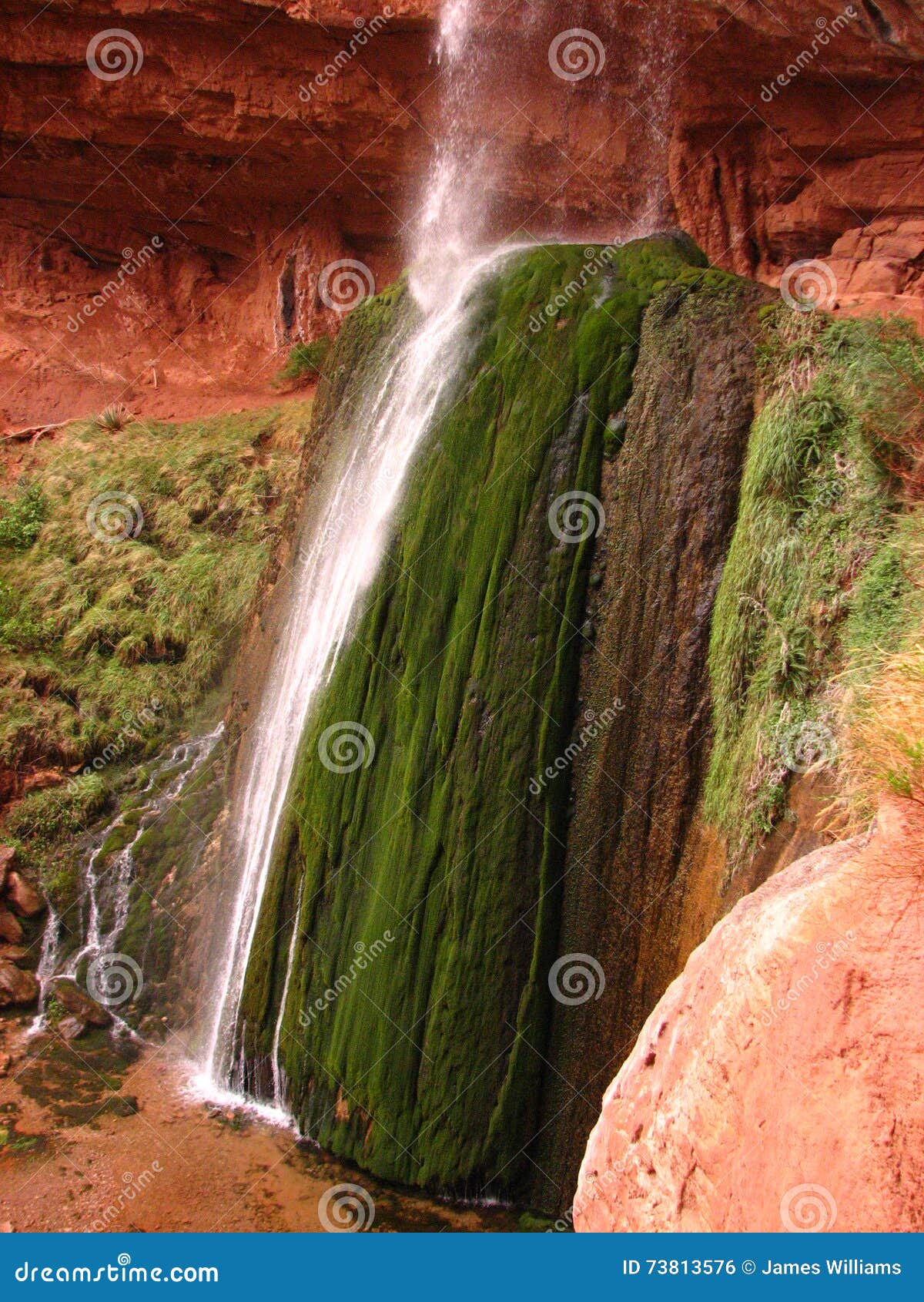 Ribbon Falls Waterfall stock photo. Image of river, oasis 73813576