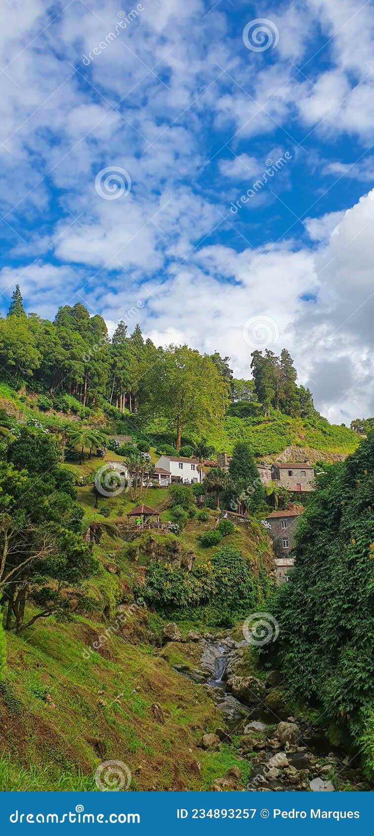 azores - ilha de sÃÂ£o miguel  - portugal