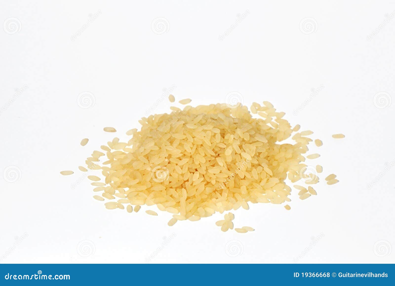 Rice stock photo. Image of dinner, seeds, hunger, rice 19366668