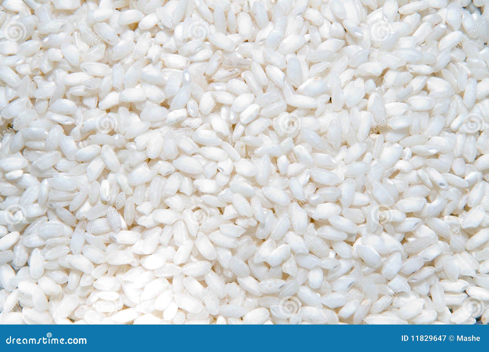 Rice background stock image. Image of diet, plant, asian - 11829647