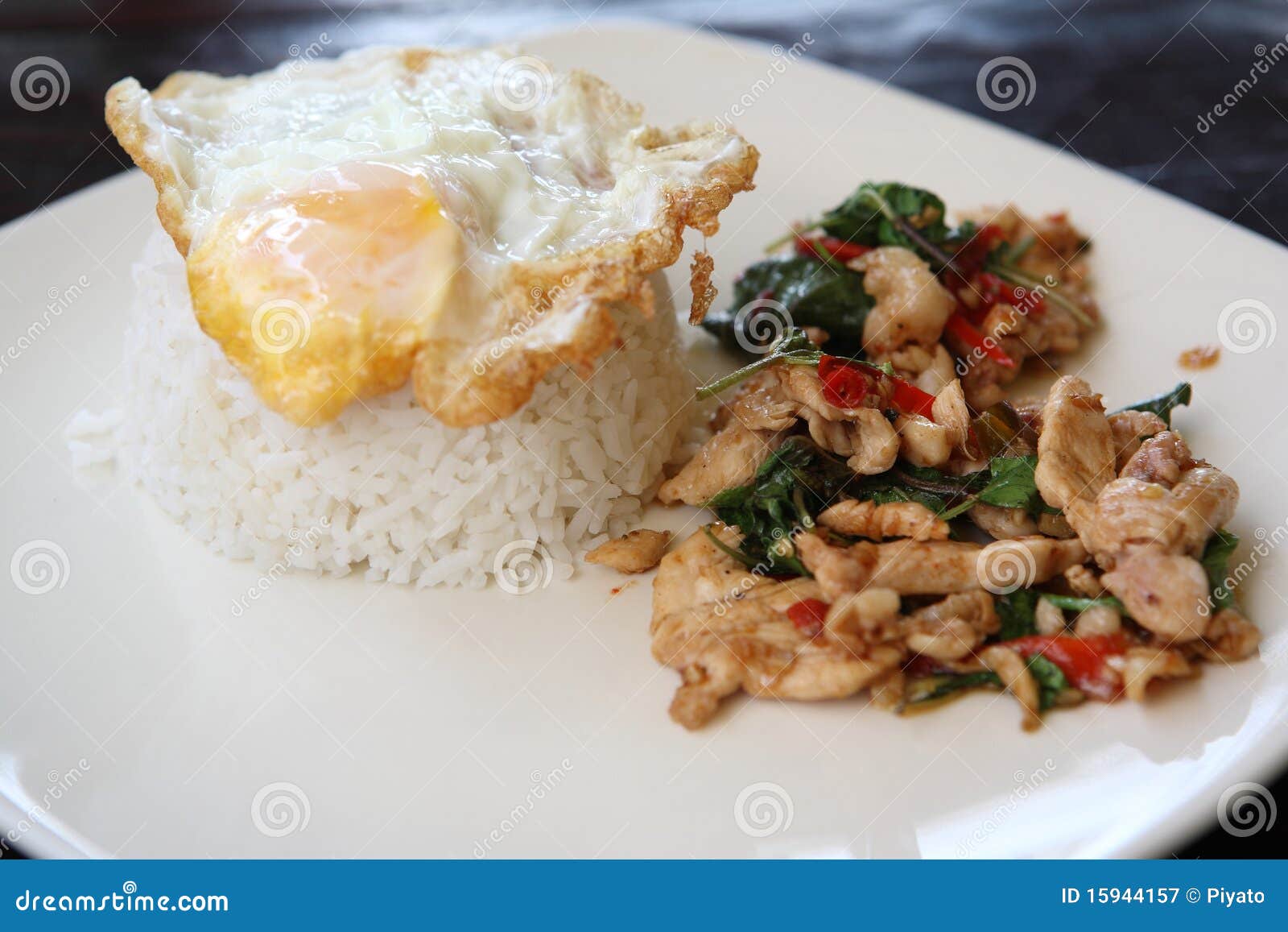 Rice with Basil Pork Chicken and Fired Egg on Top Stock Image Image of asian, closeup 15944157