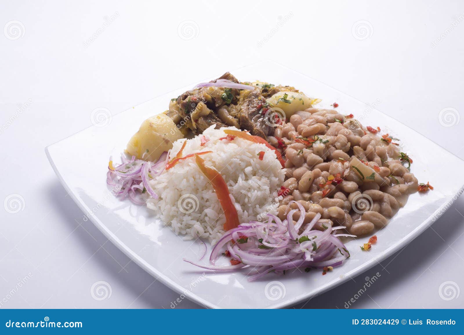 seco de cabrito,peruvian food rice with beans