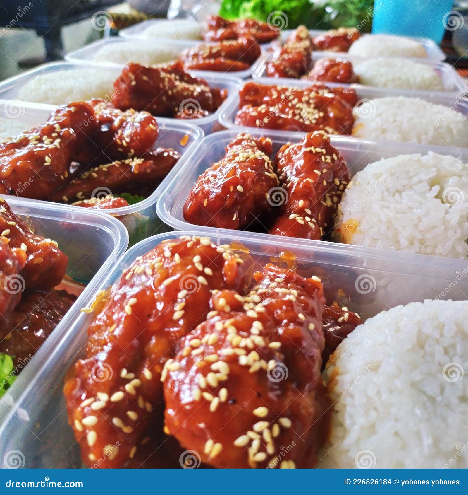 Rice Box Chicken Wings stock photo. Image of ricebox 226826184