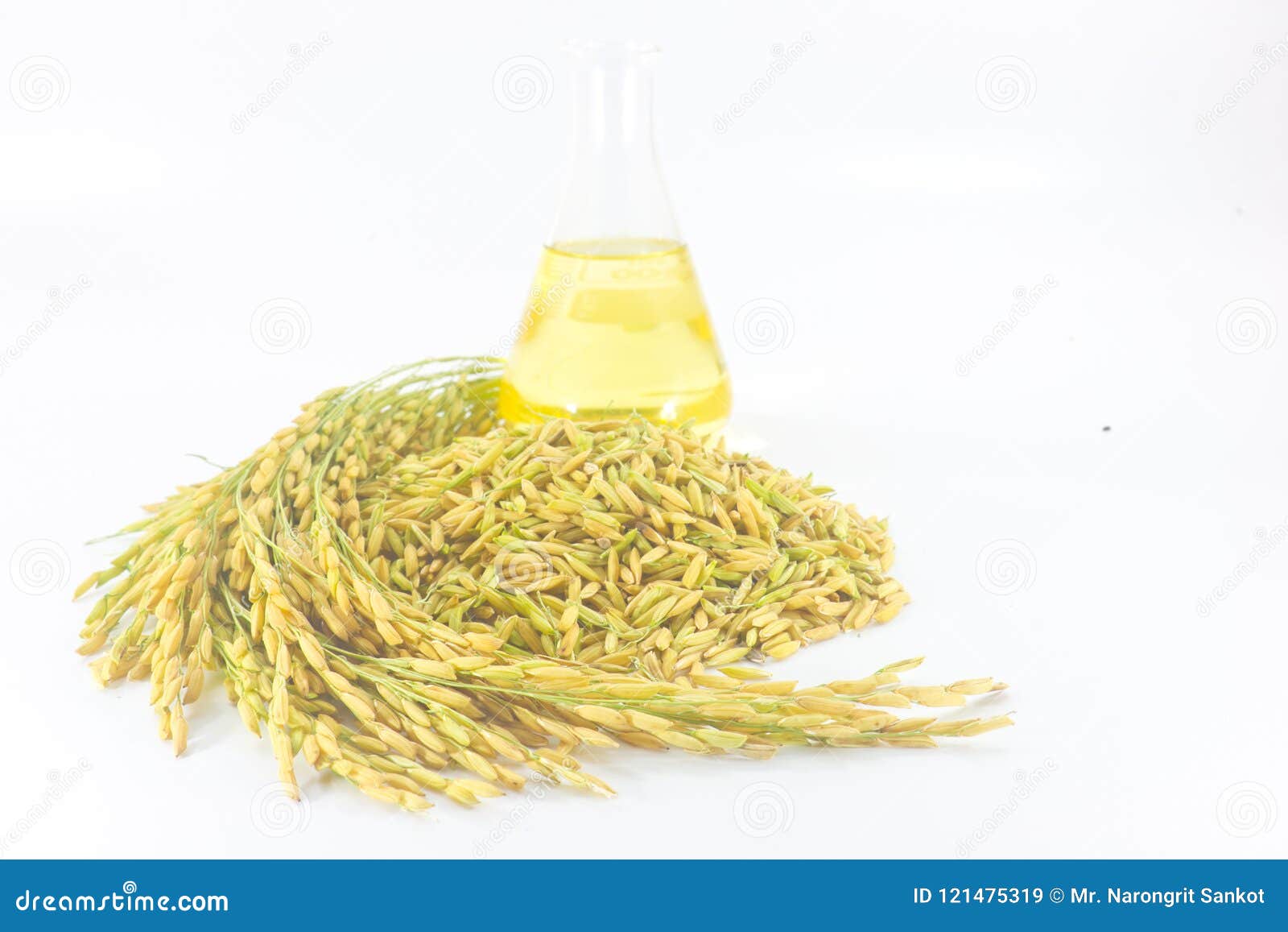 Rice bran oil stock image. Image of farmer, cultivation 121475319
