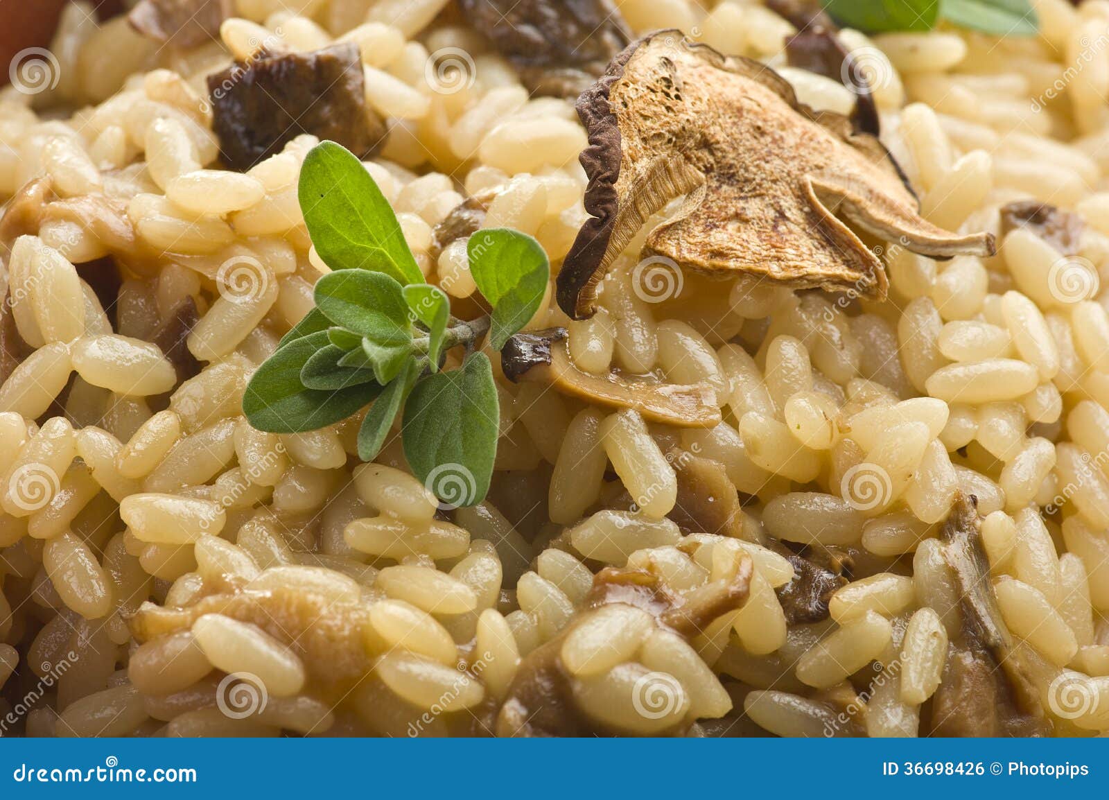 Rice and Dried Porcini Mushrooms Stock Photo Image of forest, fall