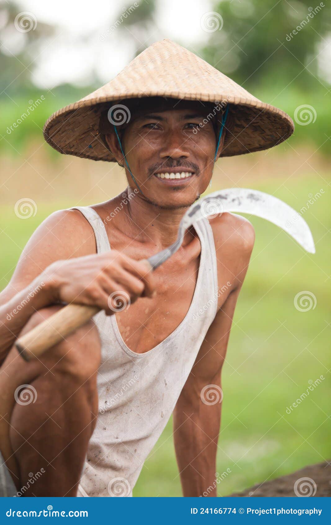 Rice Farmer Editorial Stock Image Image Of Hill Green 24166774