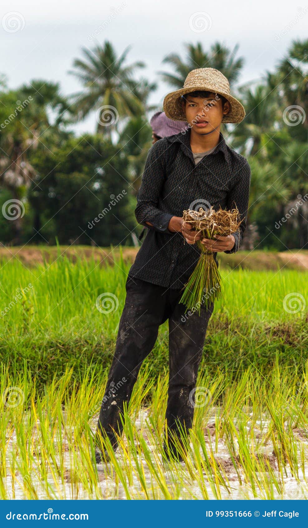 Cambodia Poor Farmers Photos Free Royalty-Free Stock Photos