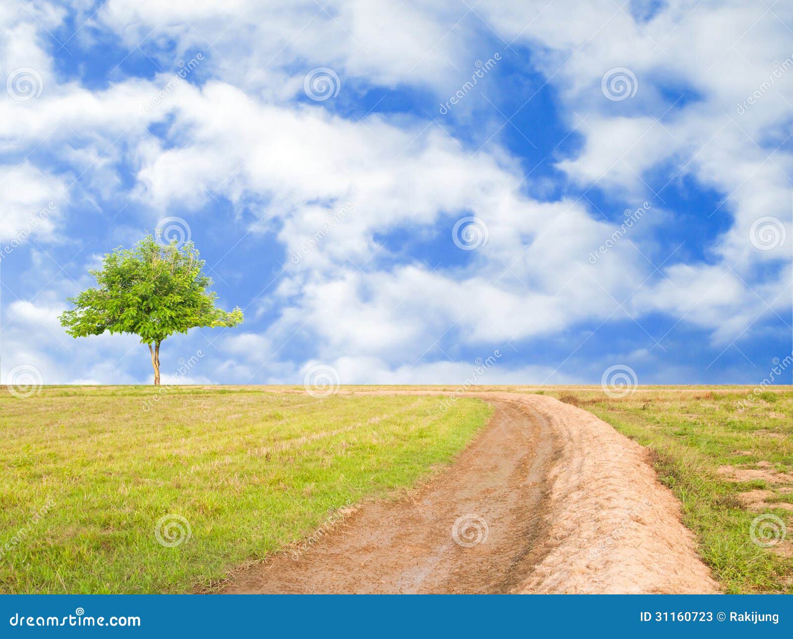 269 Rice Field Harvest Tree Blue Sky Wallpaper Stock Photos - Free & Royalty-Free Stock Photos from Dreamstime 269 Rice Field Harvest Tree Blue Sky Wallpaper Stock Photos - Free & Royalty-Free Stock Photos from Dreamstime