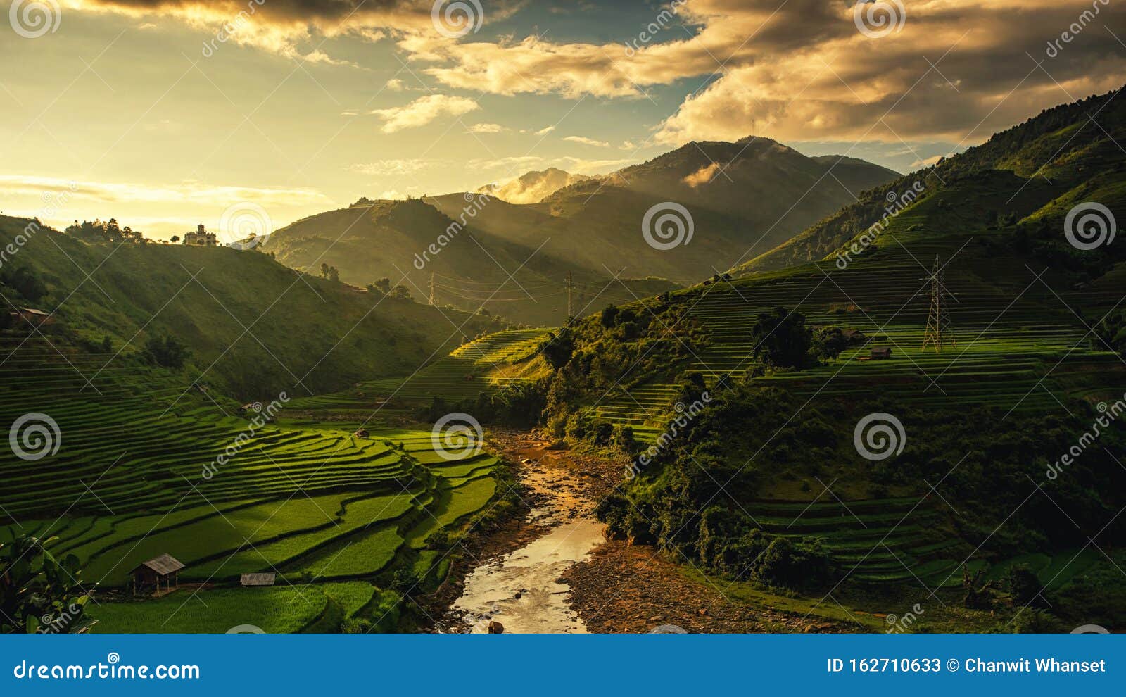 rice fields on terraced in muchangchai,