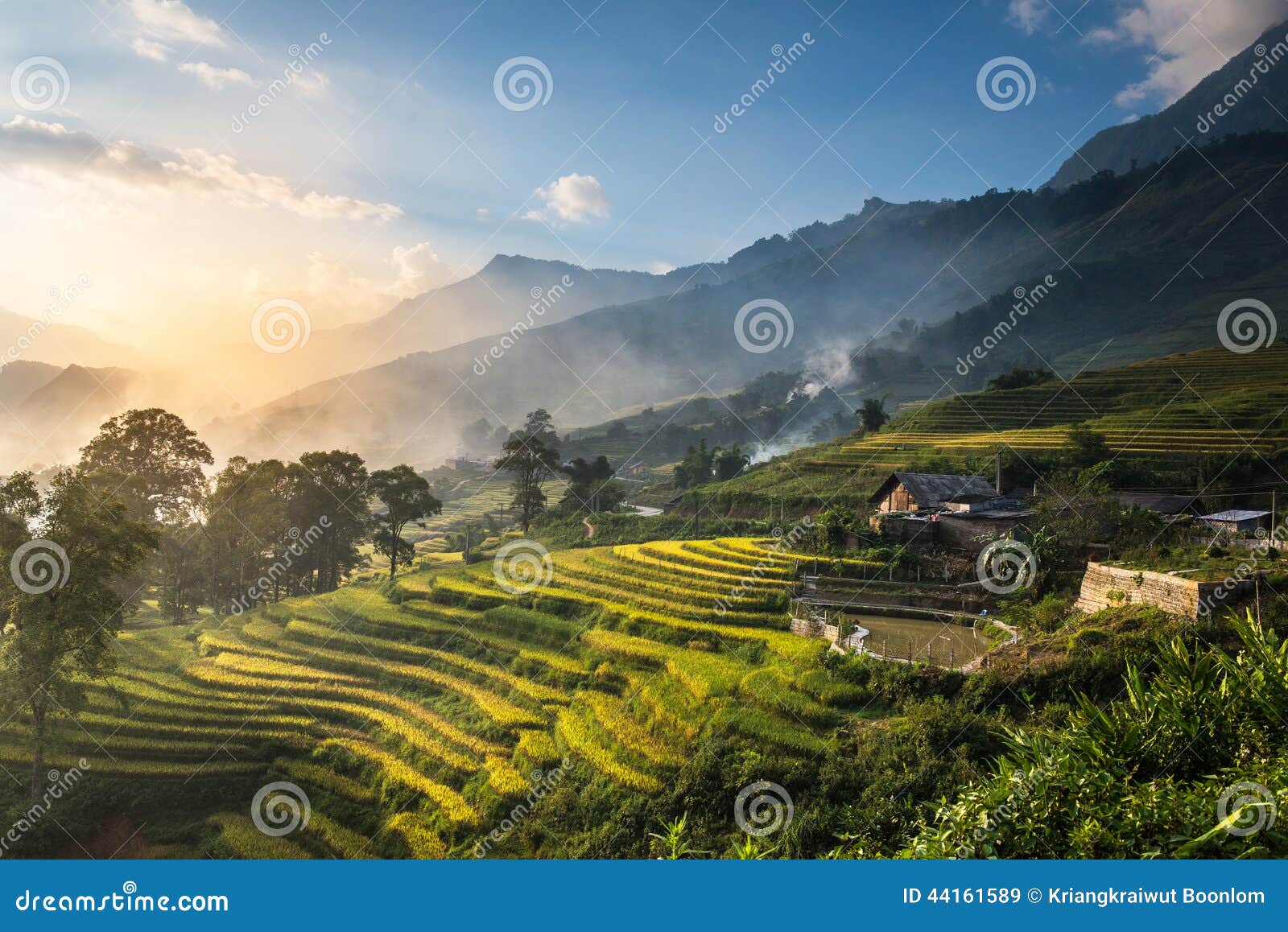 rice fields on terraced in sunset at sapa, lao cai, vietnam.