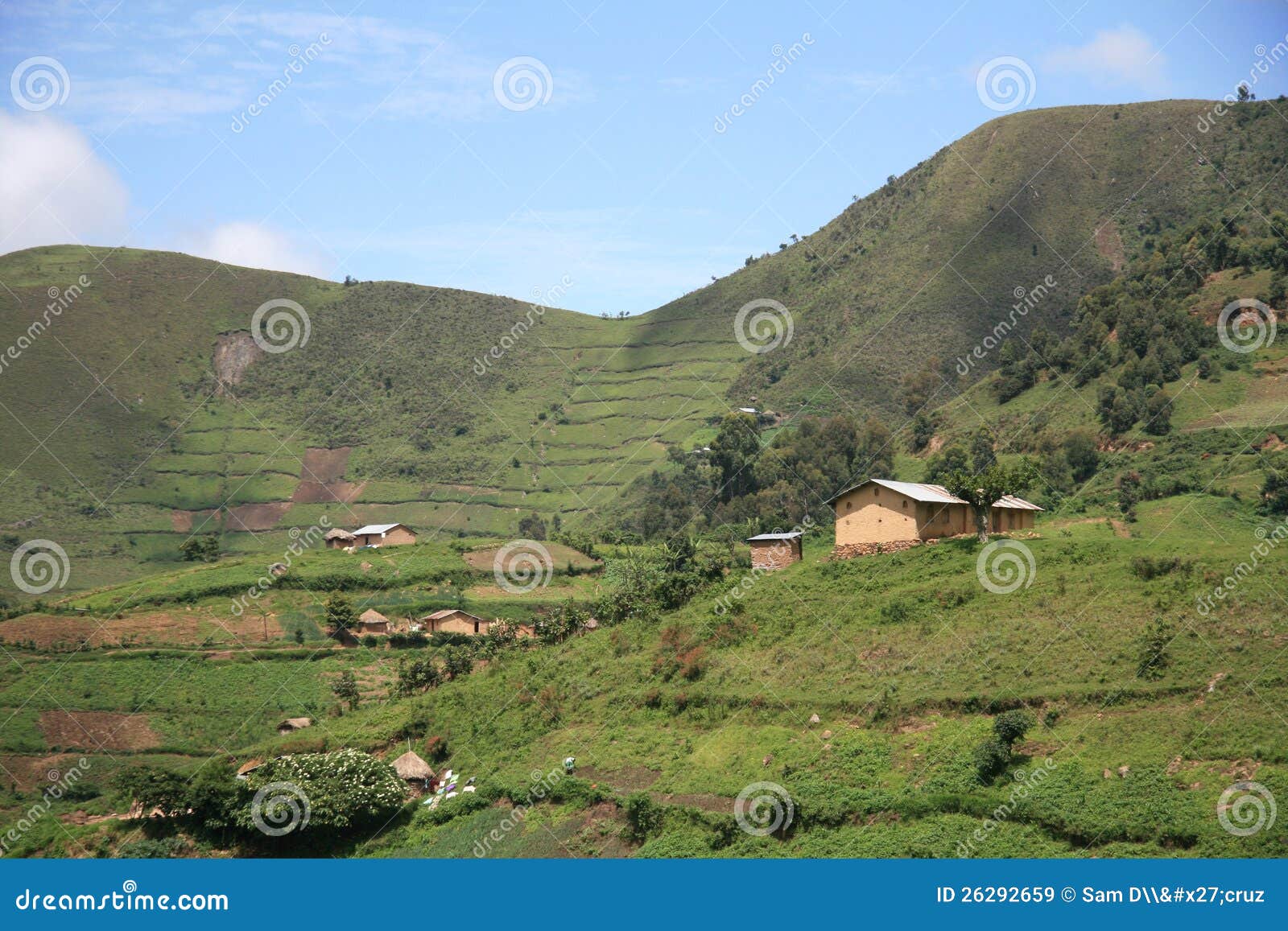 Rice Fields in Uganda, Africa Stock Image Image of africa, rural 26292659