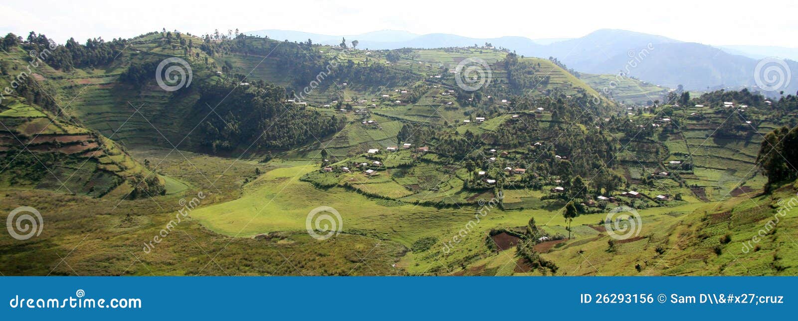 Rice Fields in Uganda, Africa Stock Photo Image of farmland, remote 26293156