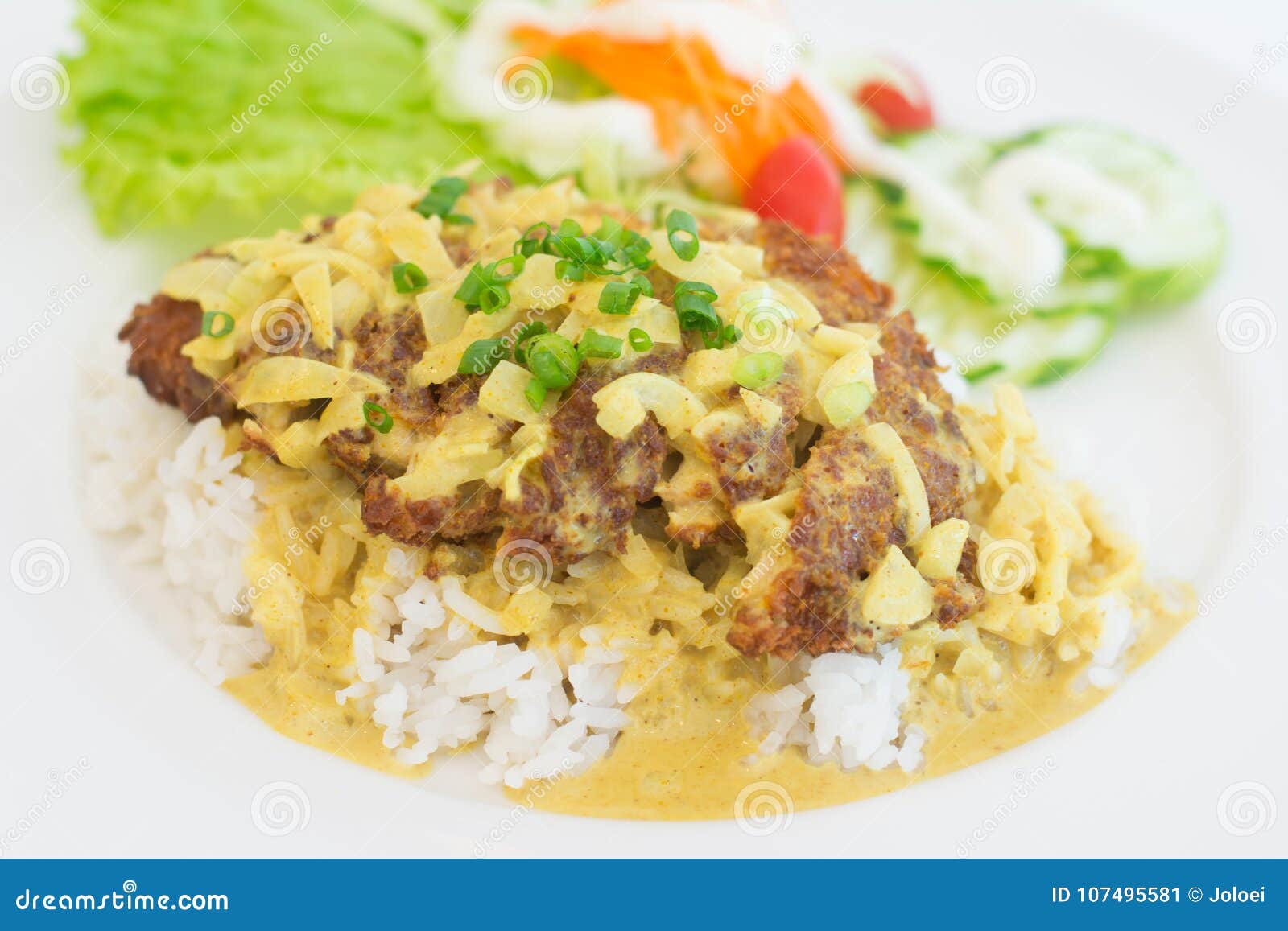 Rice and Fried Pork Yellow Curry Powder Stock Image - Image of powder