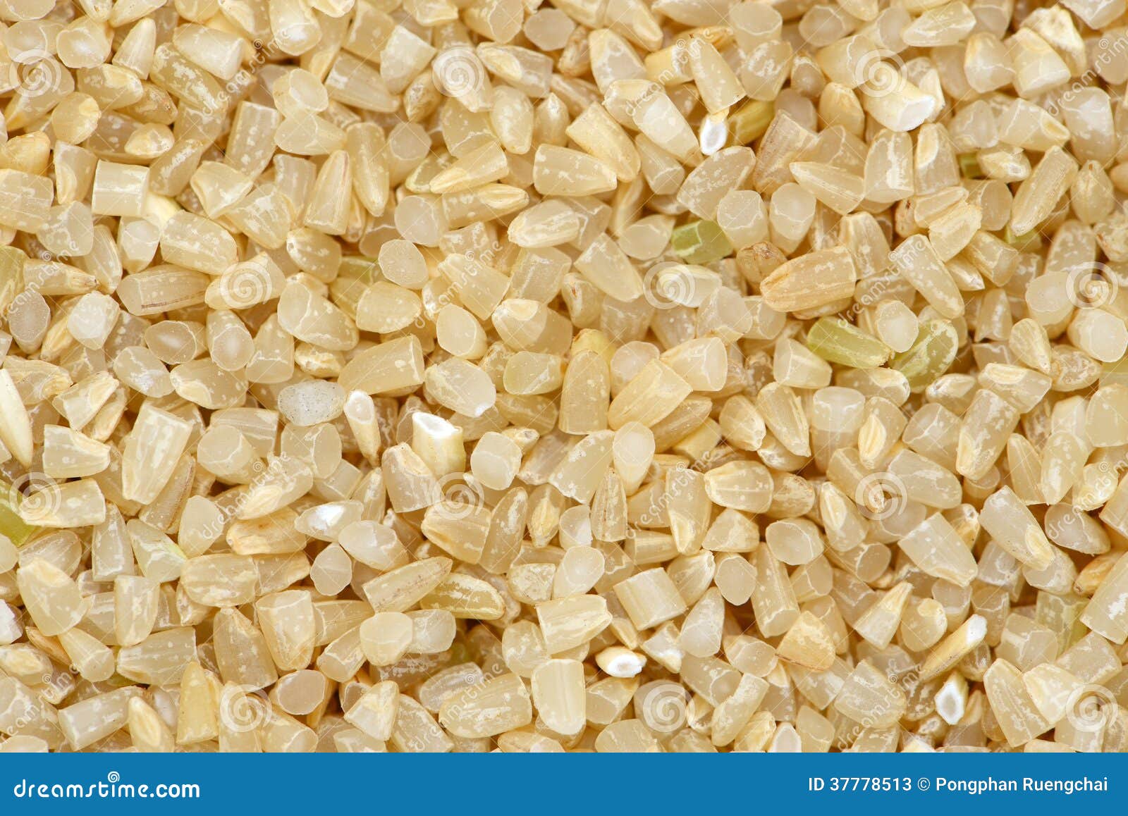 Rice germ stock image. Image of agriculture, fiber, zinc 37778513