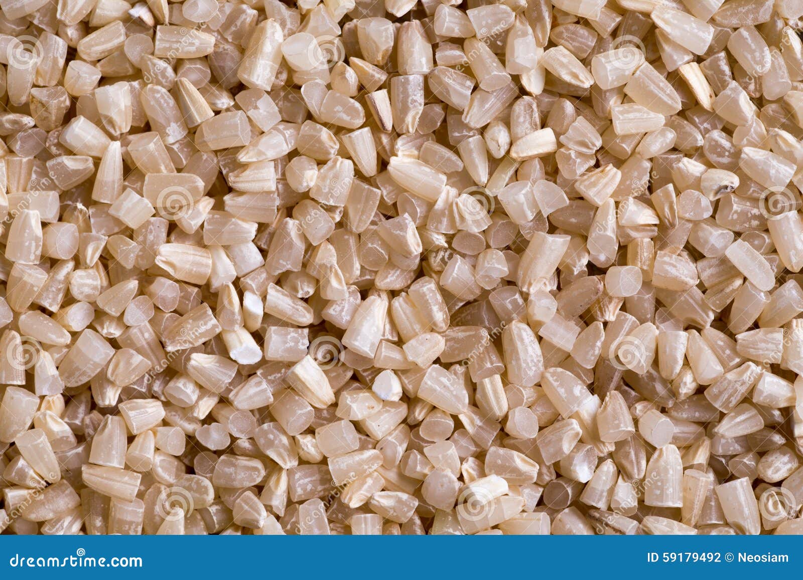 Rice Germs stock photo. Image of field, fashion, grass 59179492