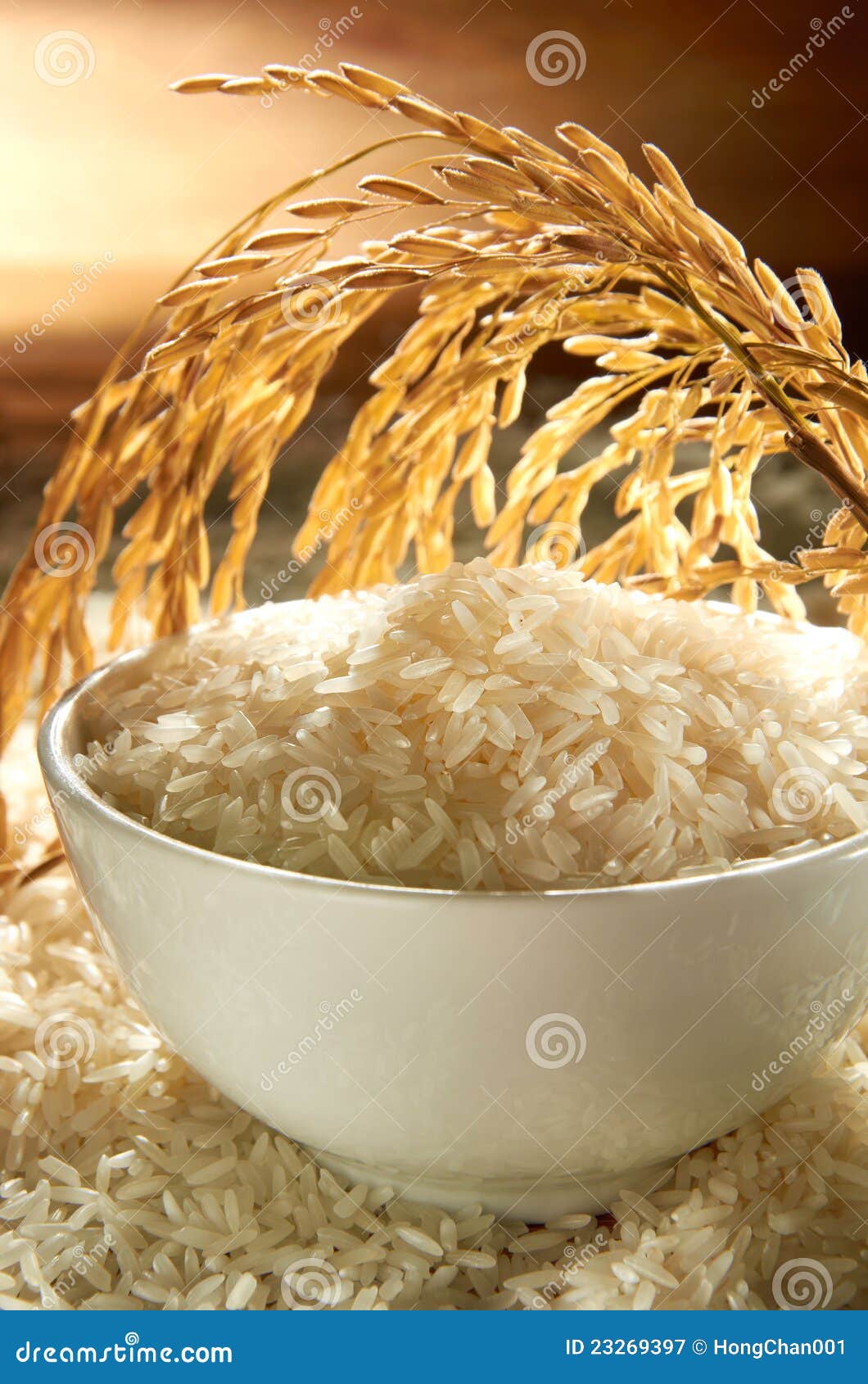 rice grain
