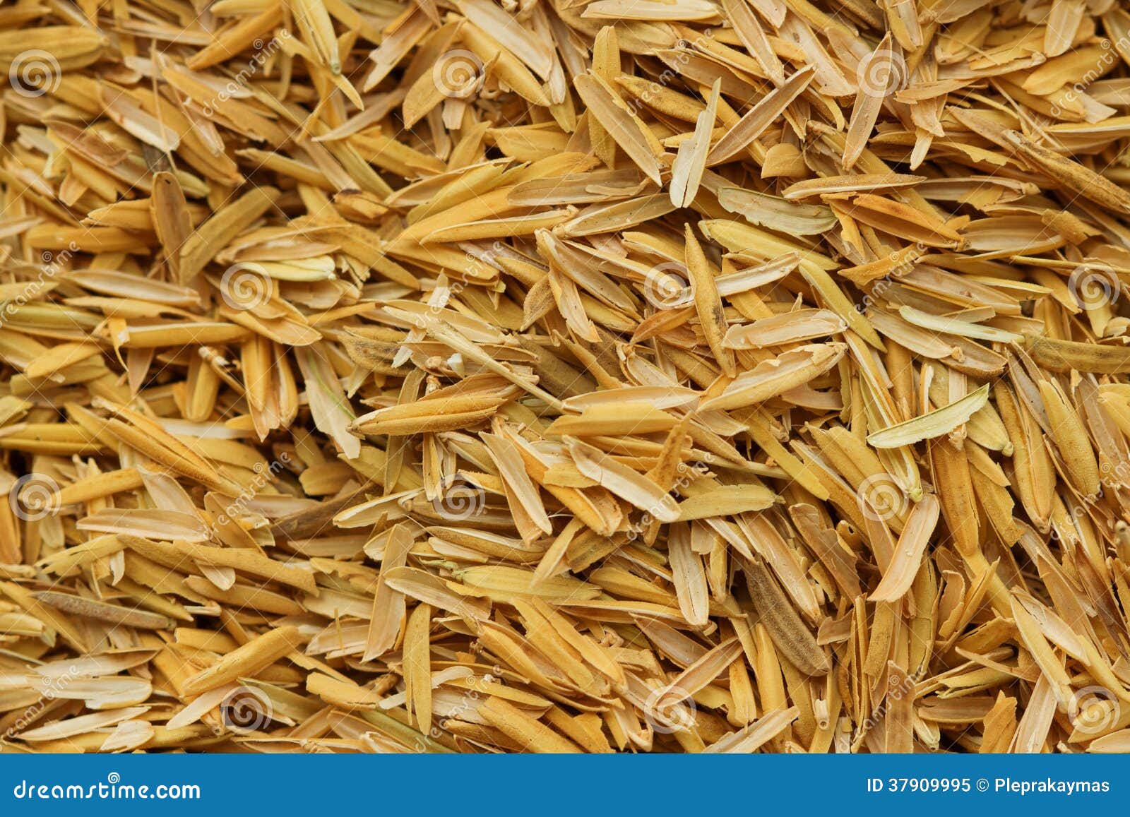 rice husk,cultivating materials