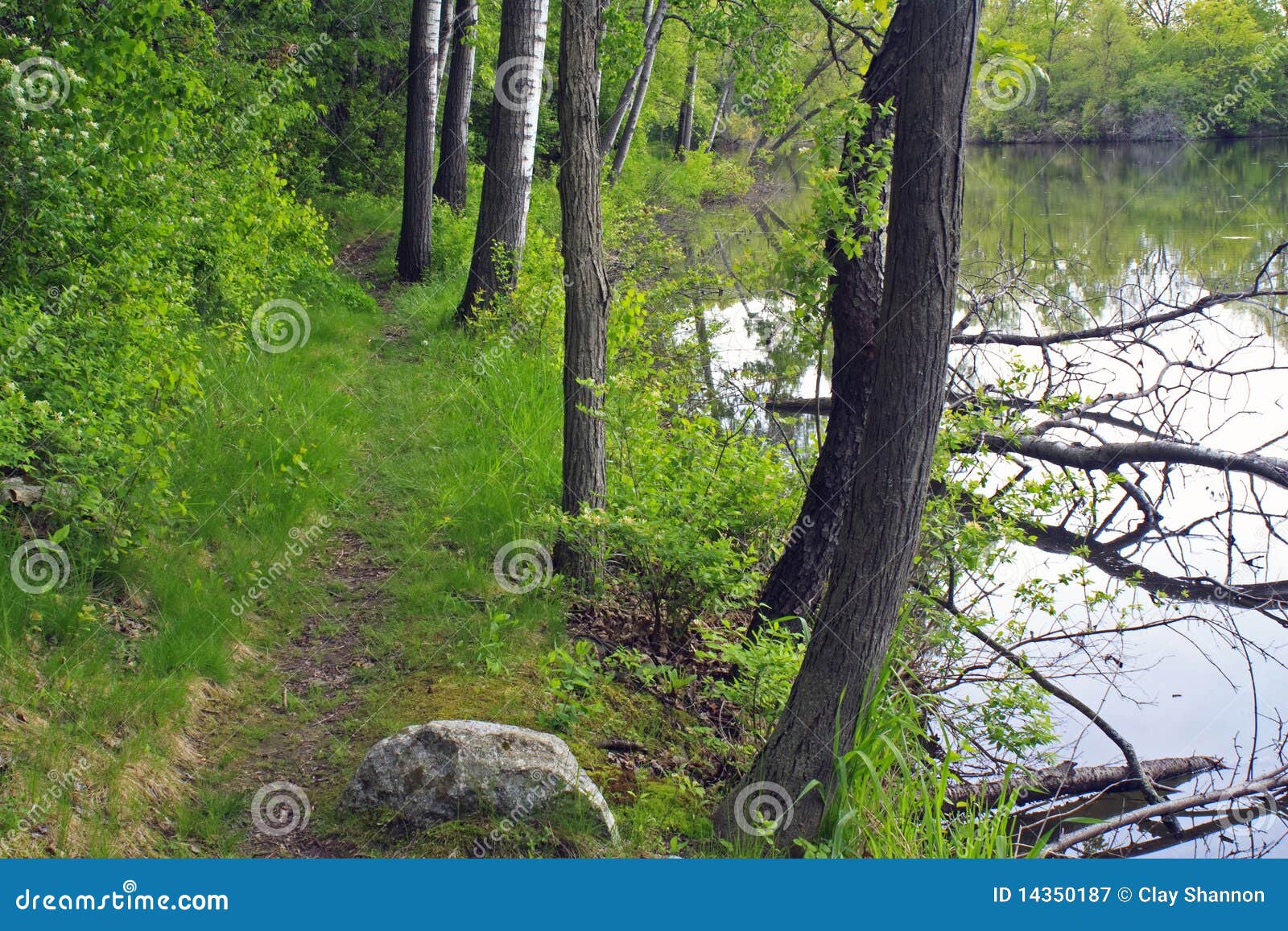 Rice Lake stock image. Image of wisconsin, walworth, backpacking - 14350187