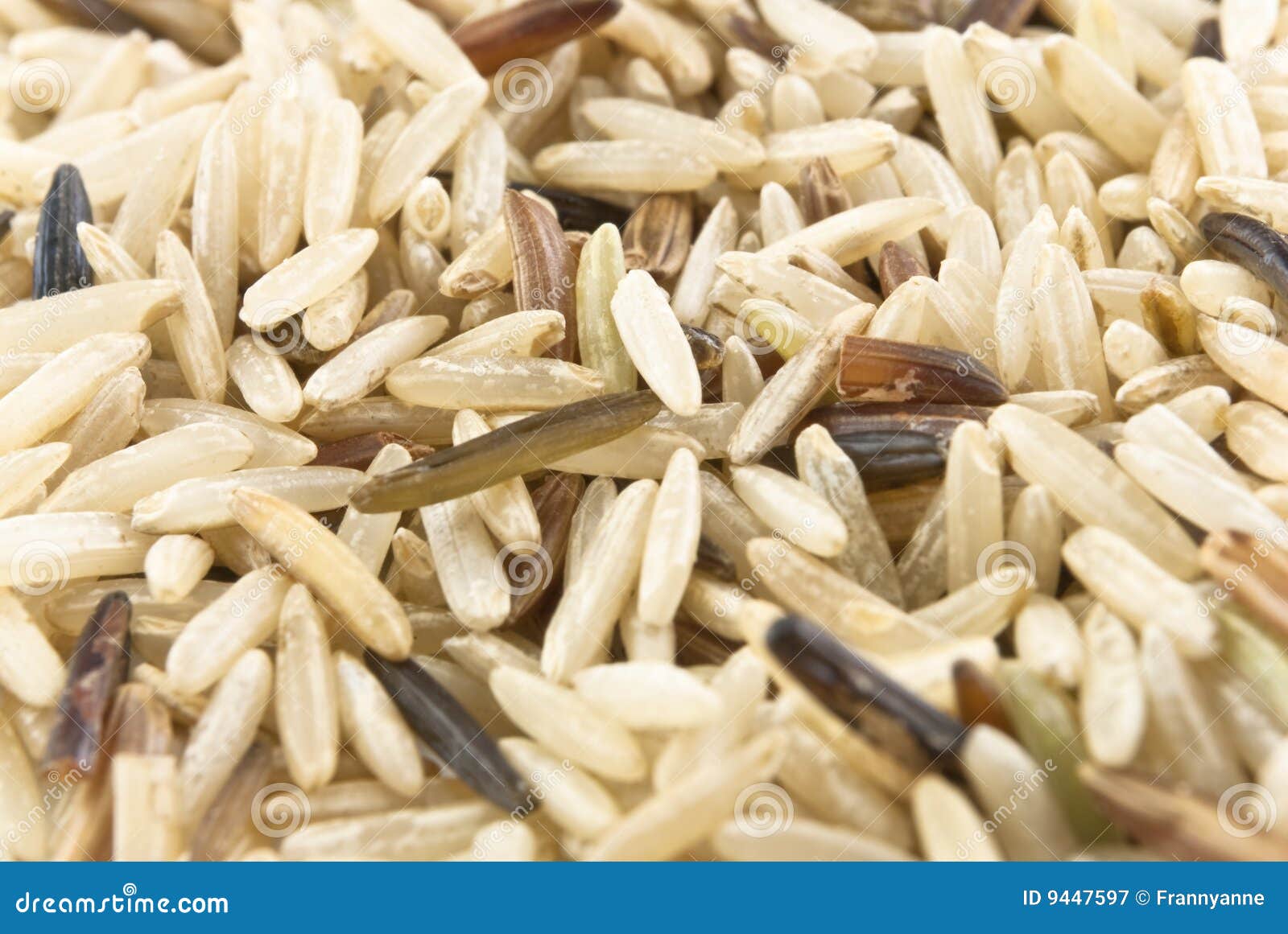 Rice Mixture Basmati, Wild and Red Stock Image Image of diet