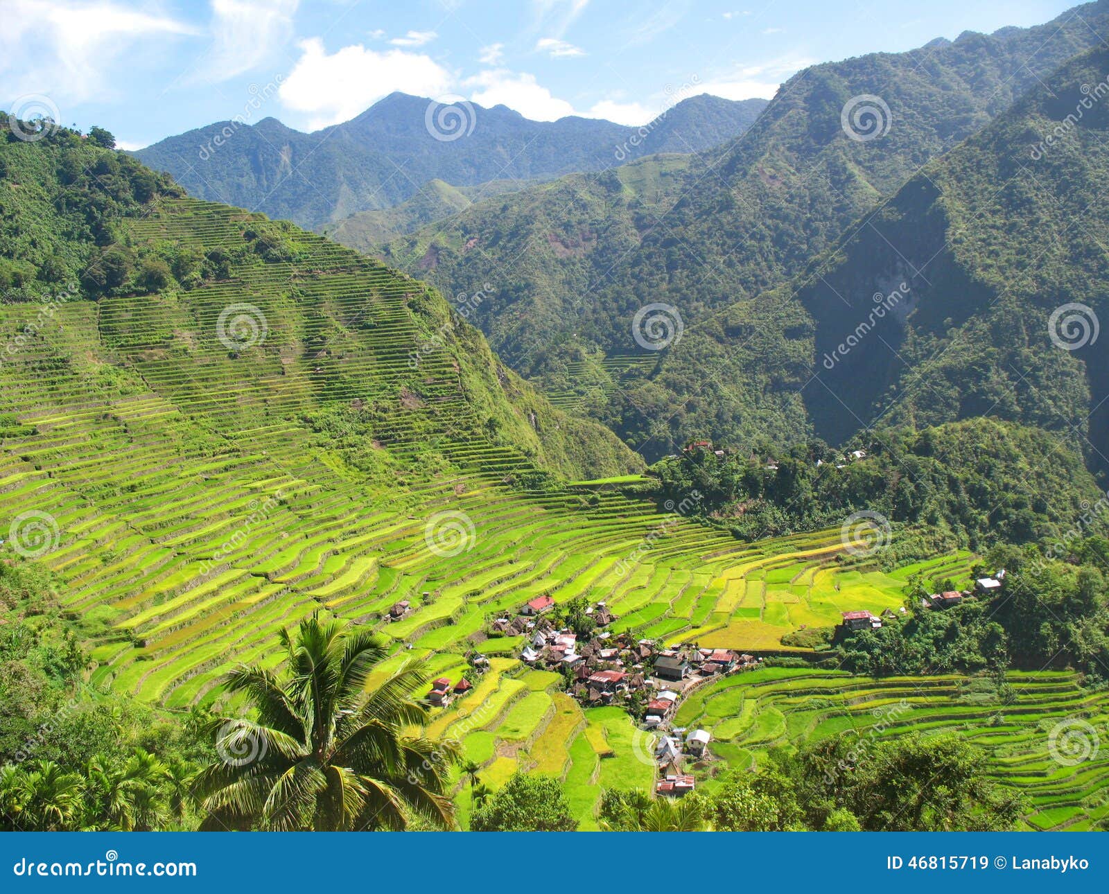rice paddies in the north of luzon island, philippines