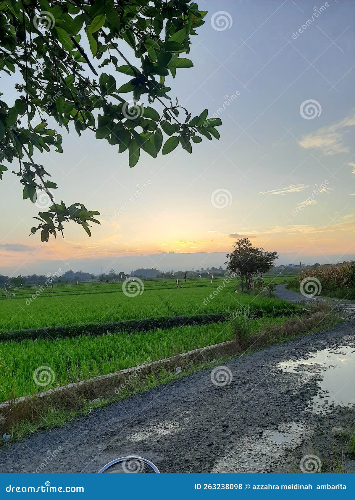 My Image 19
