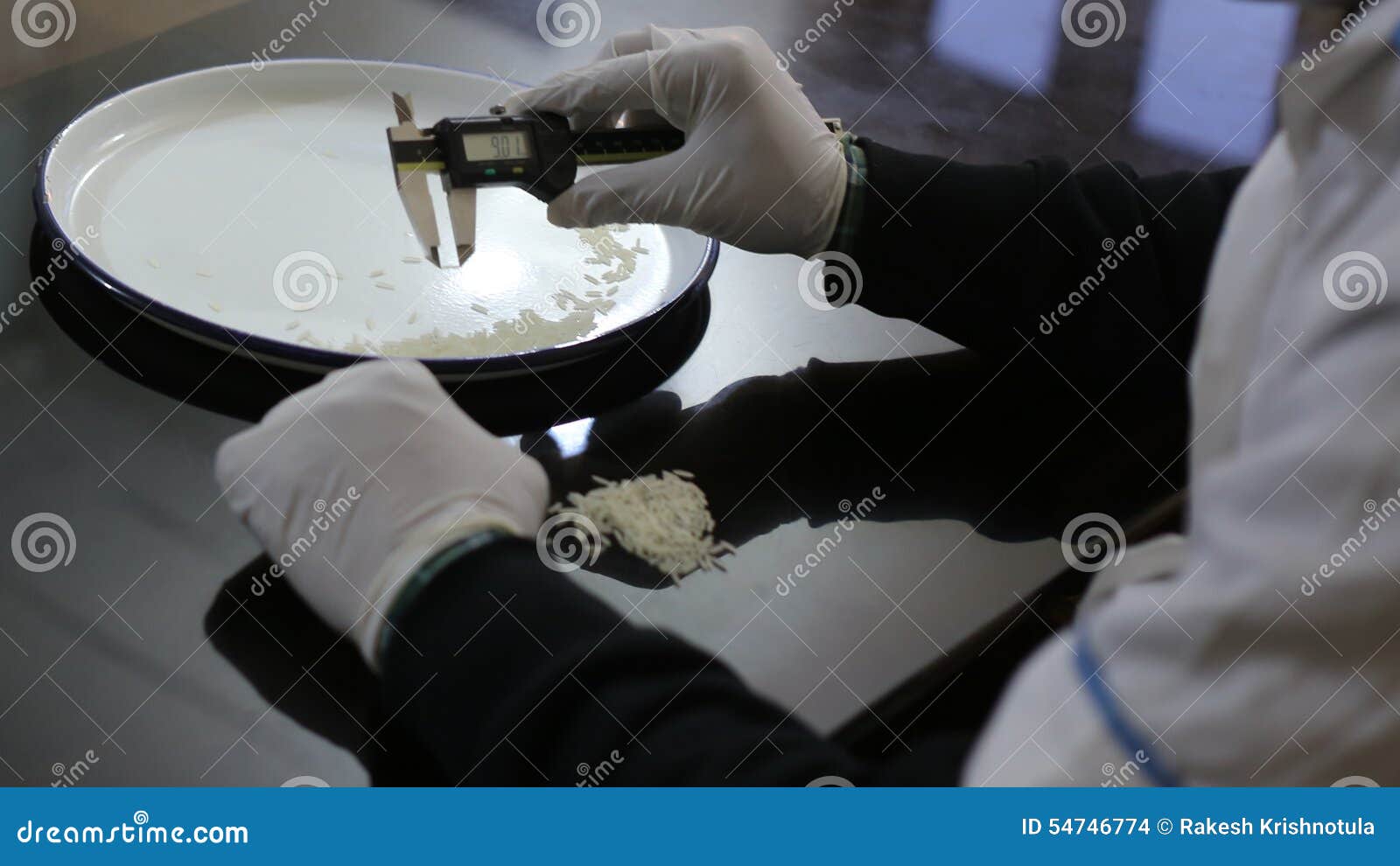 Rice Quality Test Stock Photos Download 198 Royalty Free Photos