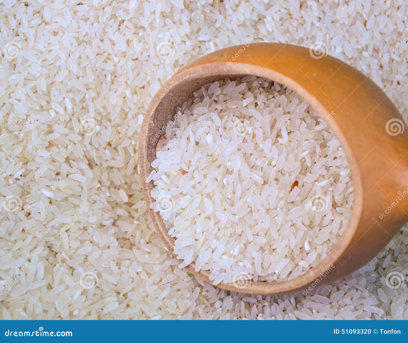 Rice seed stock photo. Image of cuisine, grain, food 51093320